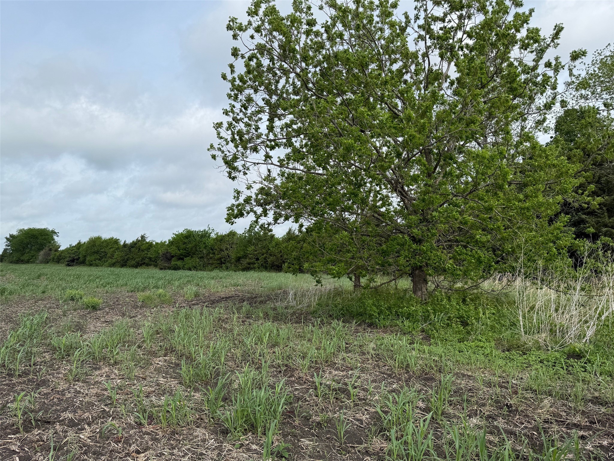 Tbd Cr 23300 Roxton TX 75477