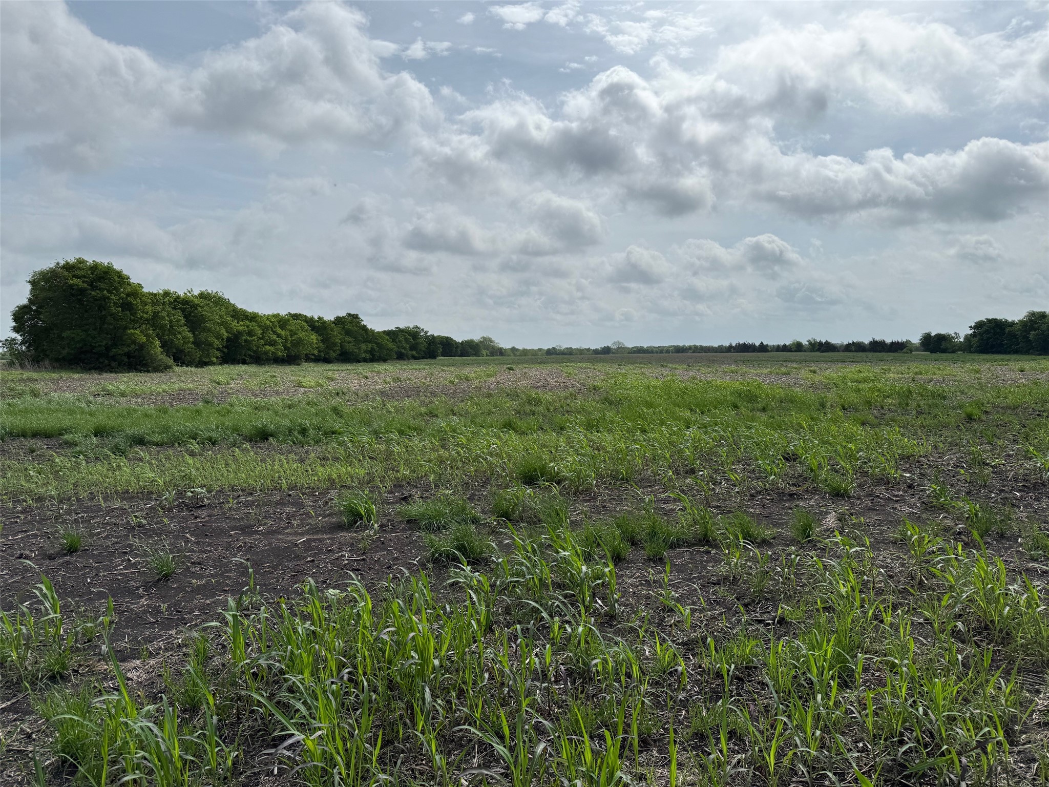 Tbd Cr 23300 Roxton TX 75477