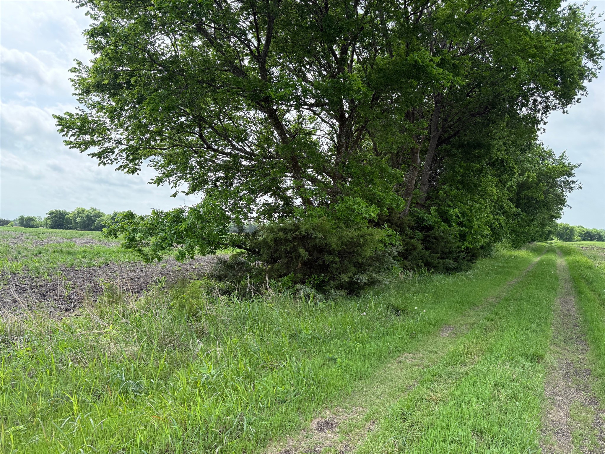 Tbd Cr 23300 Roxton TX 75477