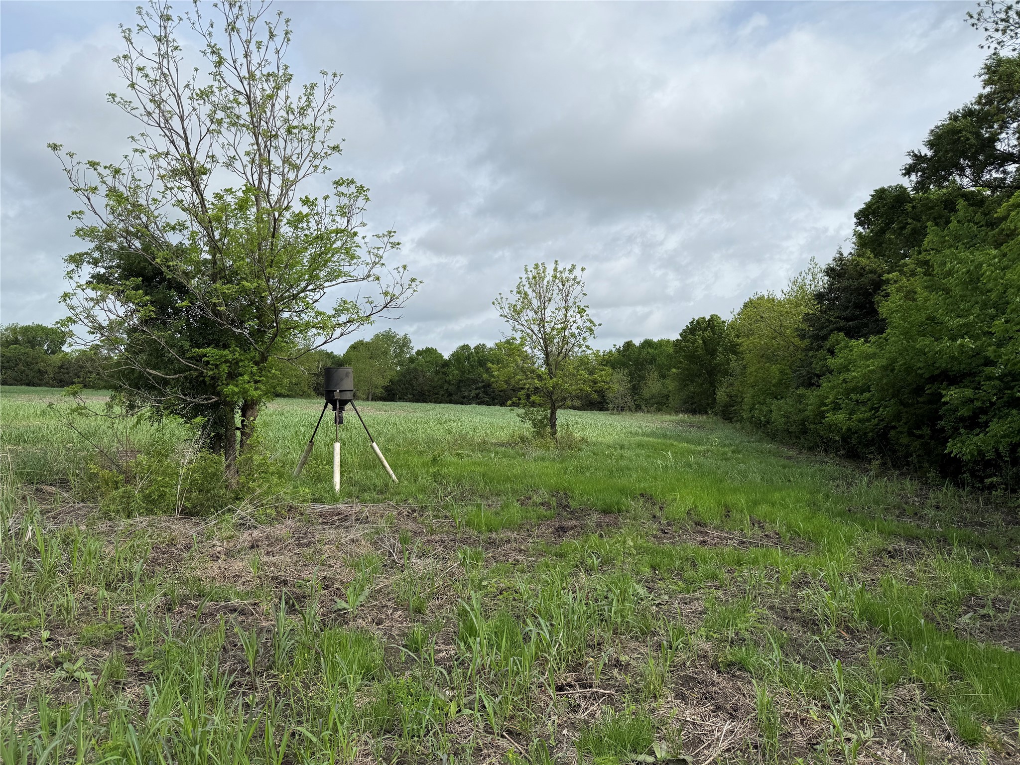 Tbd Cr 23300 Roxton TX 75477