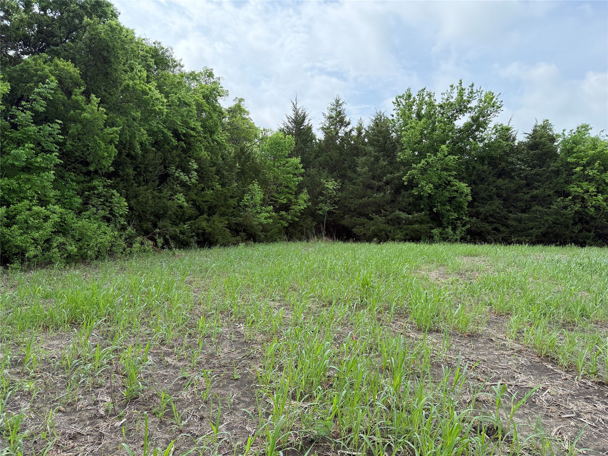 Tbd Cr 23300 Roxton TX 75477