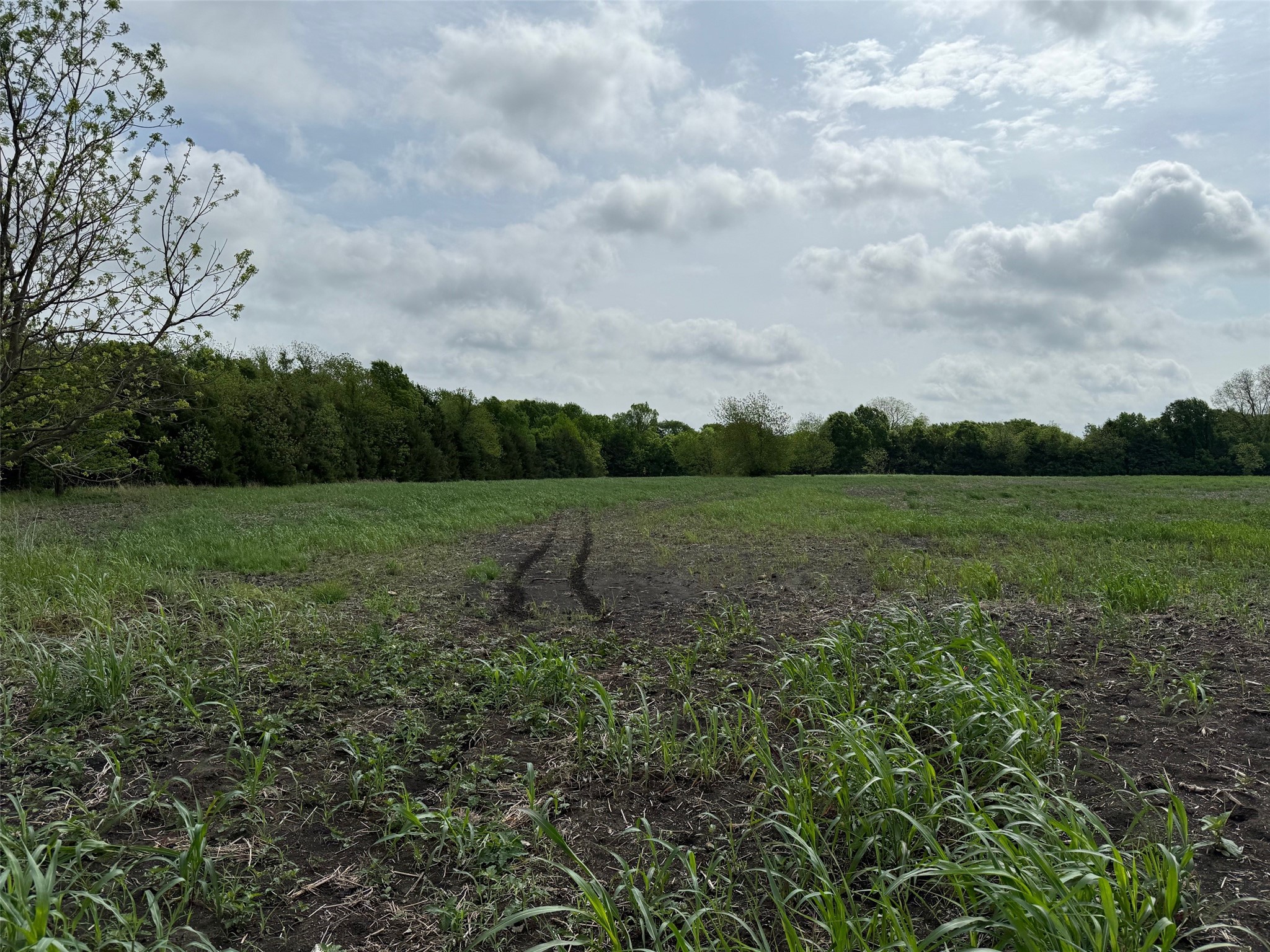 Tbd Cr 23300 Roxton TX 75477