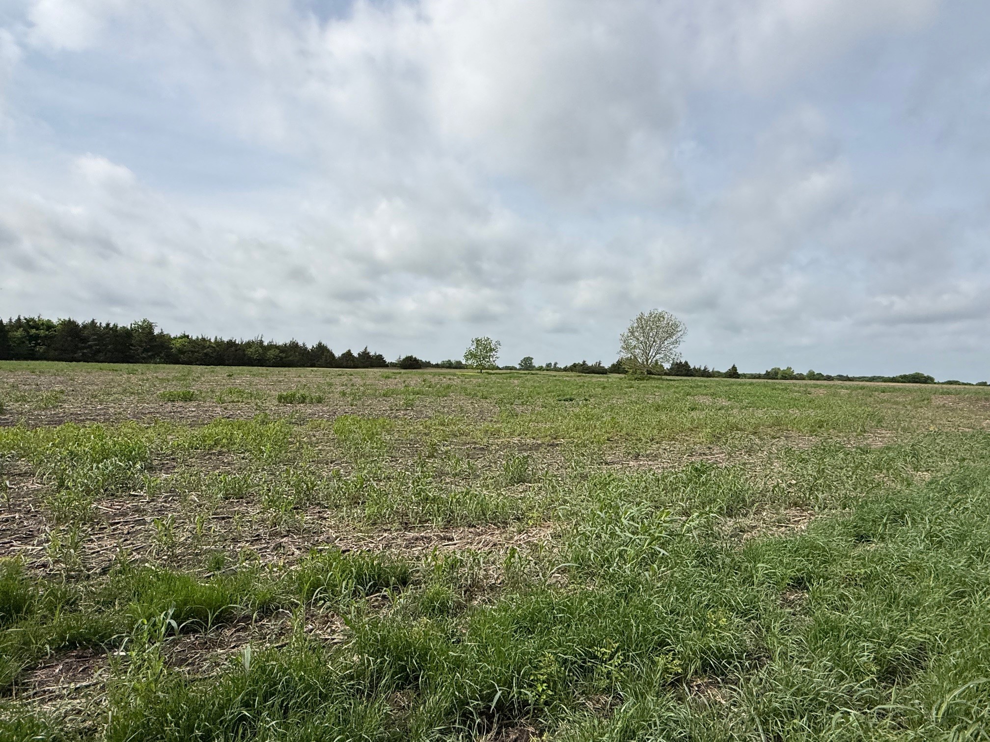 Tbd Cr 23300 Roxton TX 75477