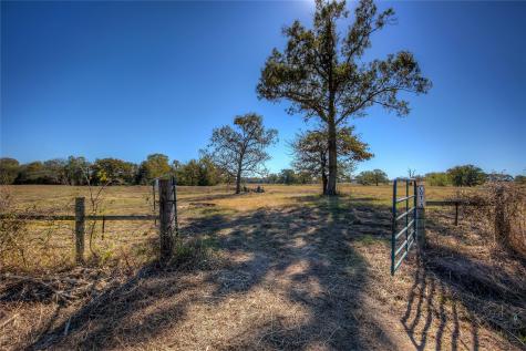 Tbd County Road 1468 Quitman TX 75783