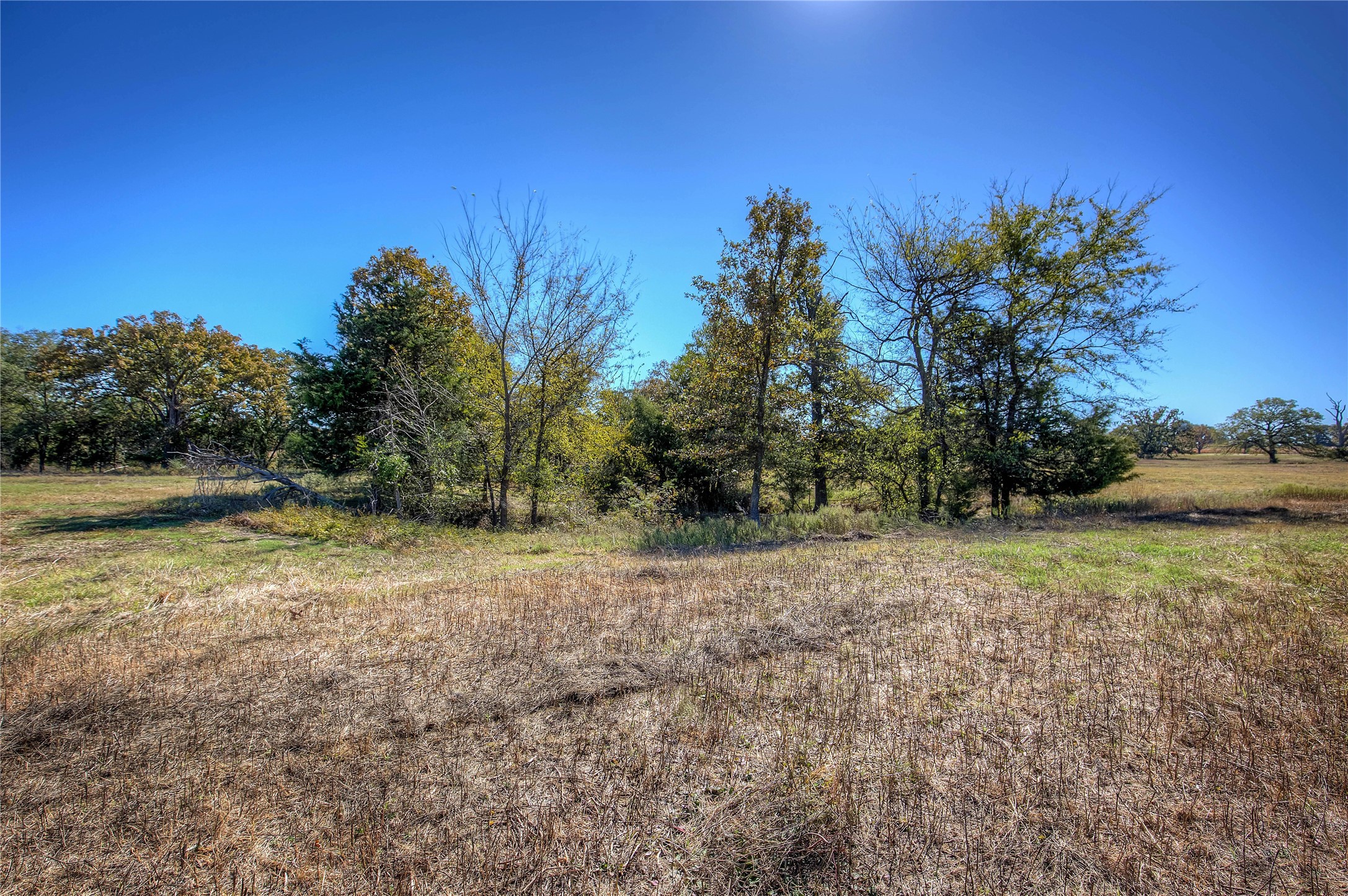 Tbd County Road 1468 Quitman TX 75783