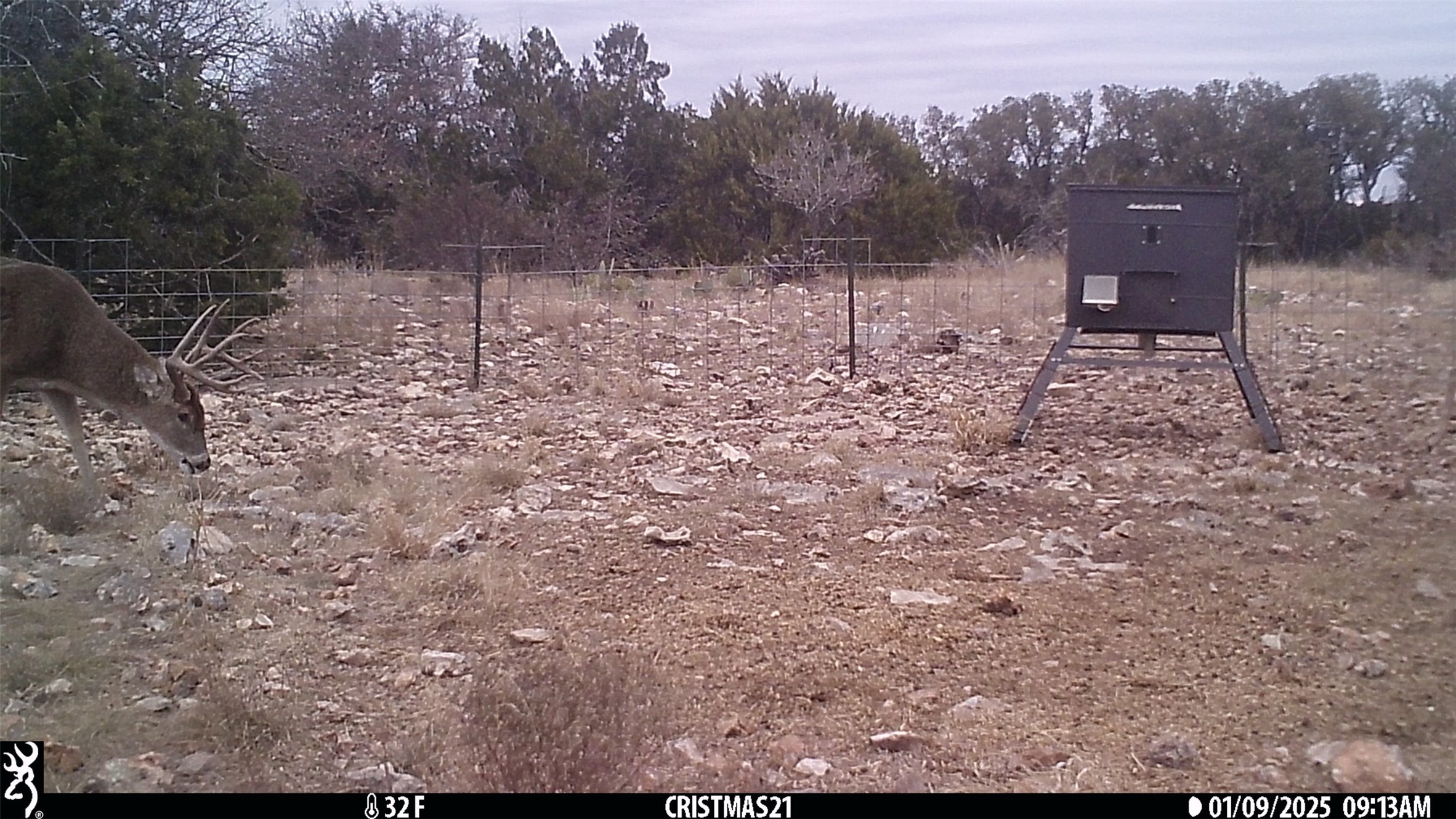 919 Sd Rocksprings TX 78880