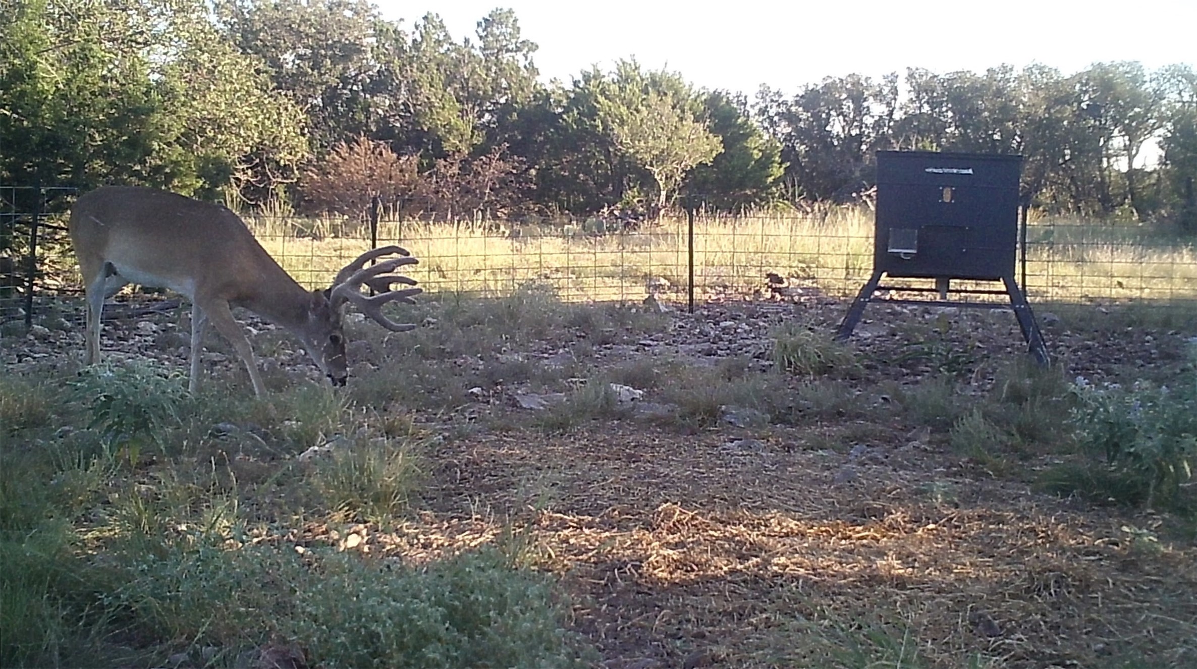 919 Sd Rocksprings TX 78880