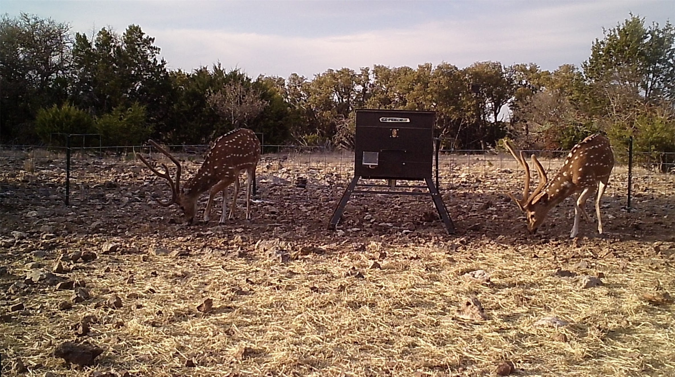 919 Sd Rocksprings TX 78880