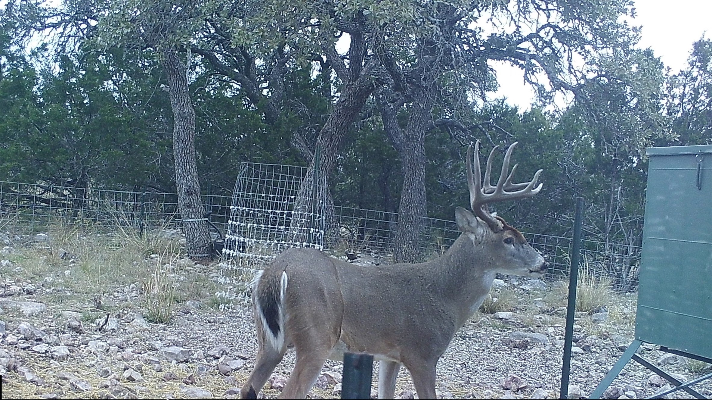 919 Sd Rocksprings TX 78880