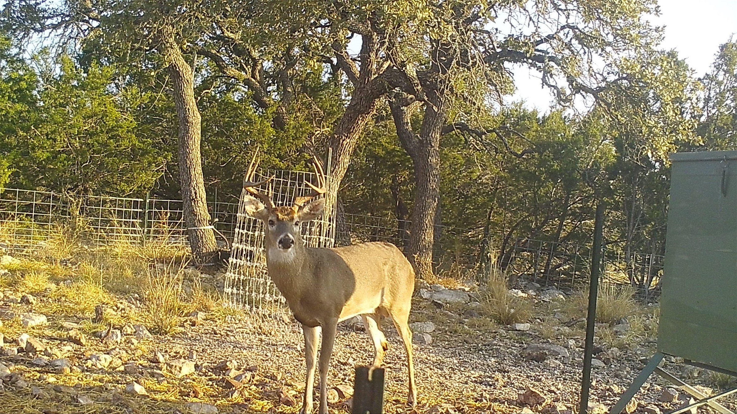 919 Sd Rocksprings TX 78880