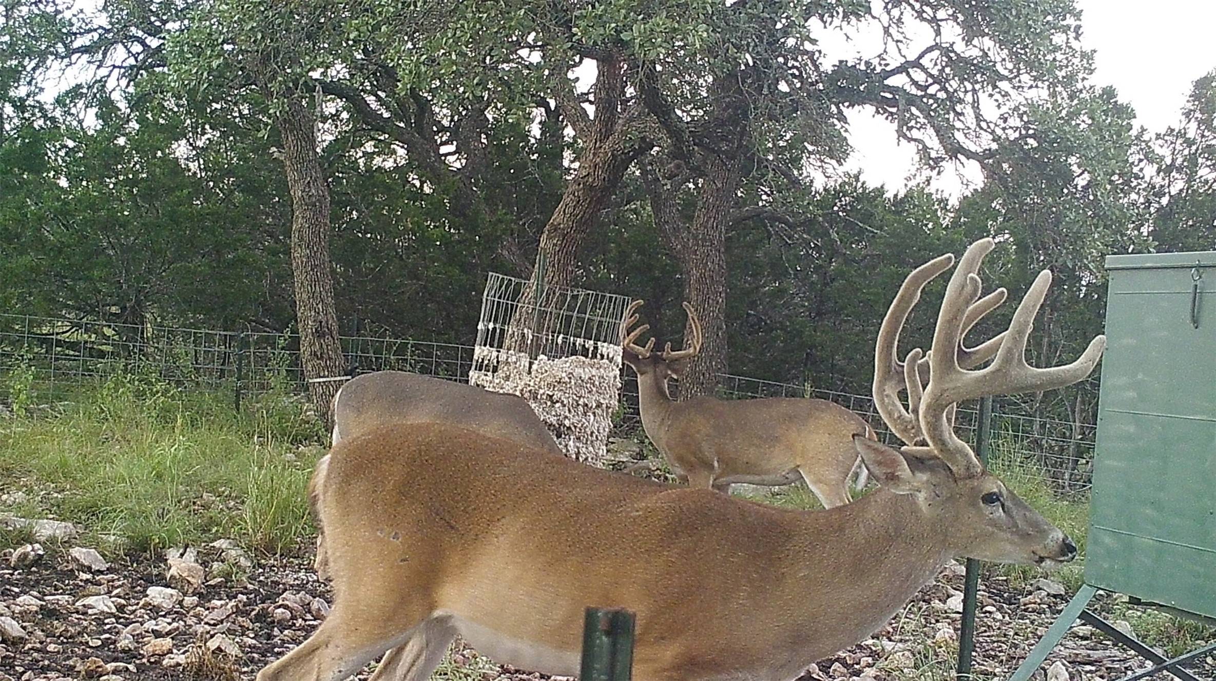 919 Sd Rocksprings TX 78880