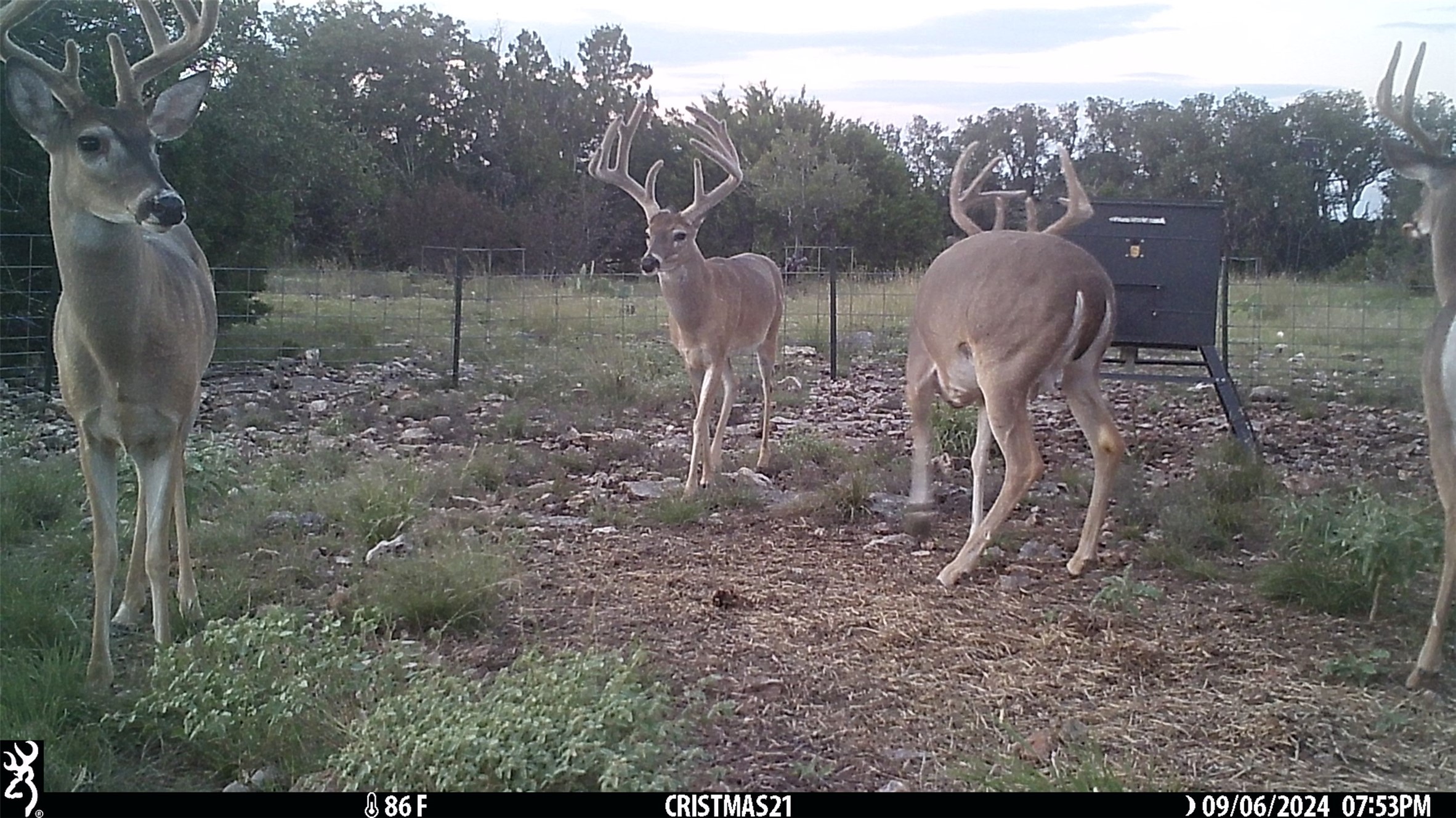 919 Sd Rocksprings TX 78880