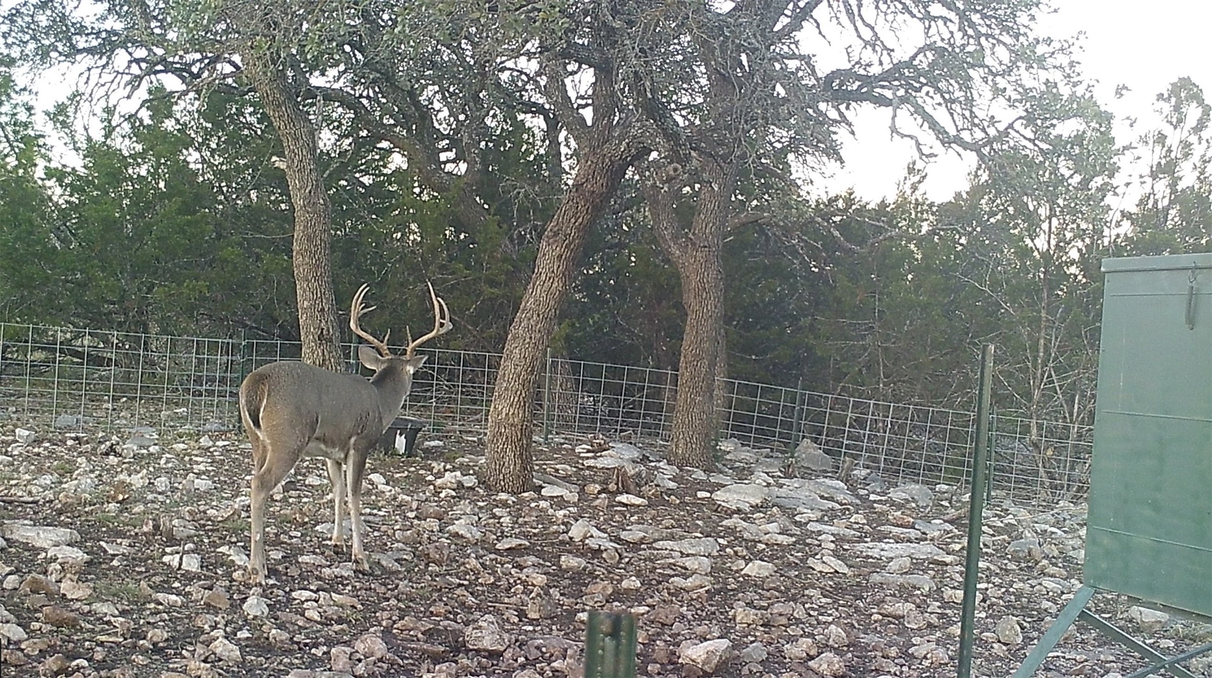 919 Sd Rocksprings TX 78880