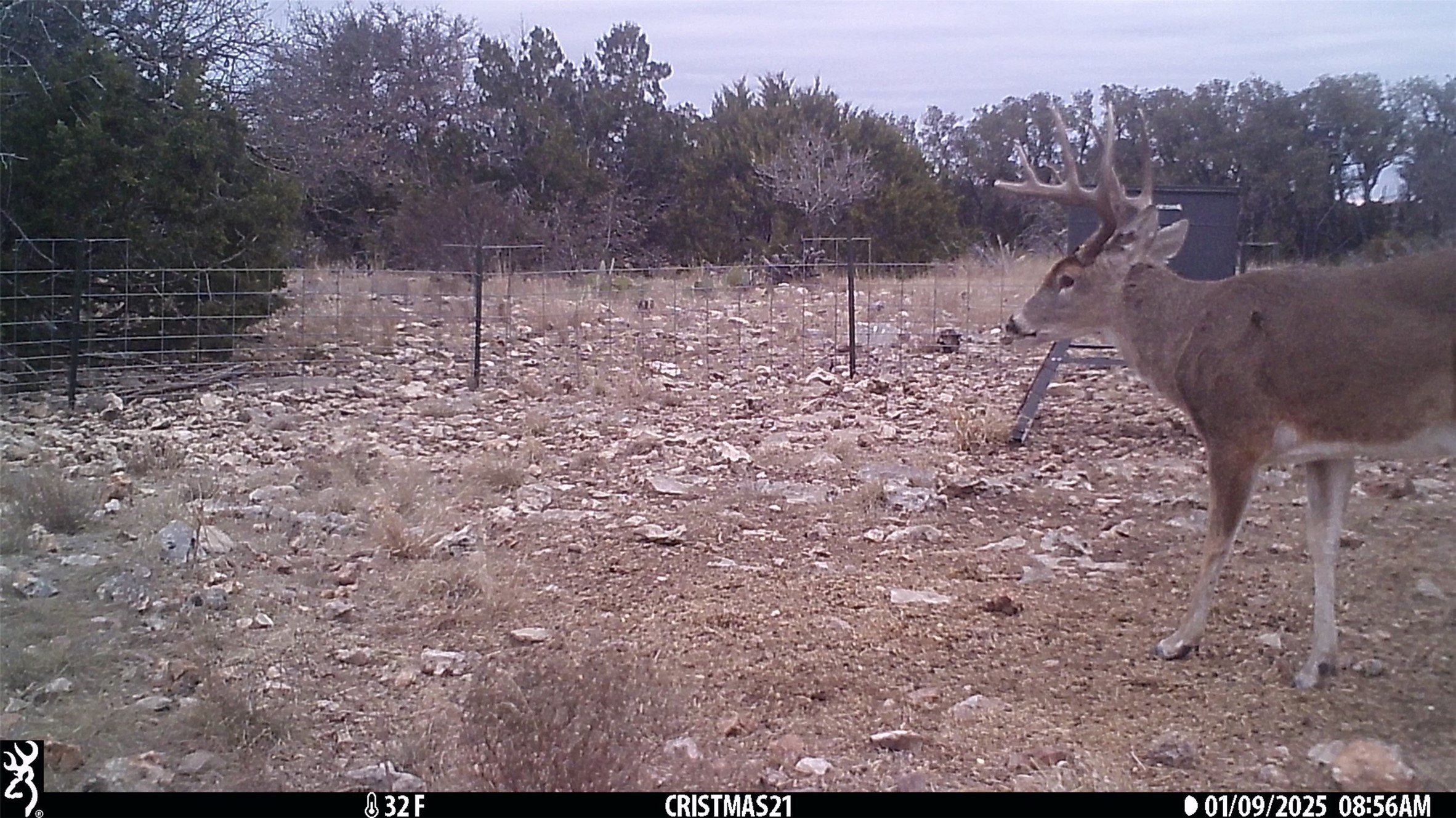 919 Sd Rocksprings TX 78880