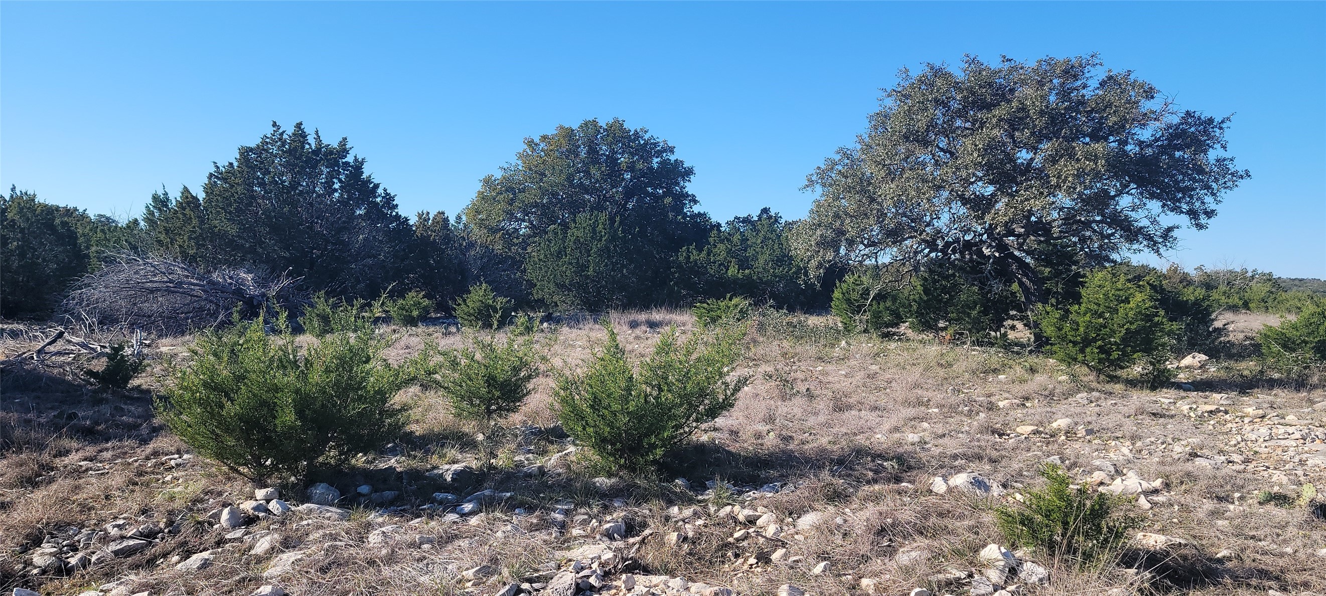 919 Sd Rocksprings TX 78880