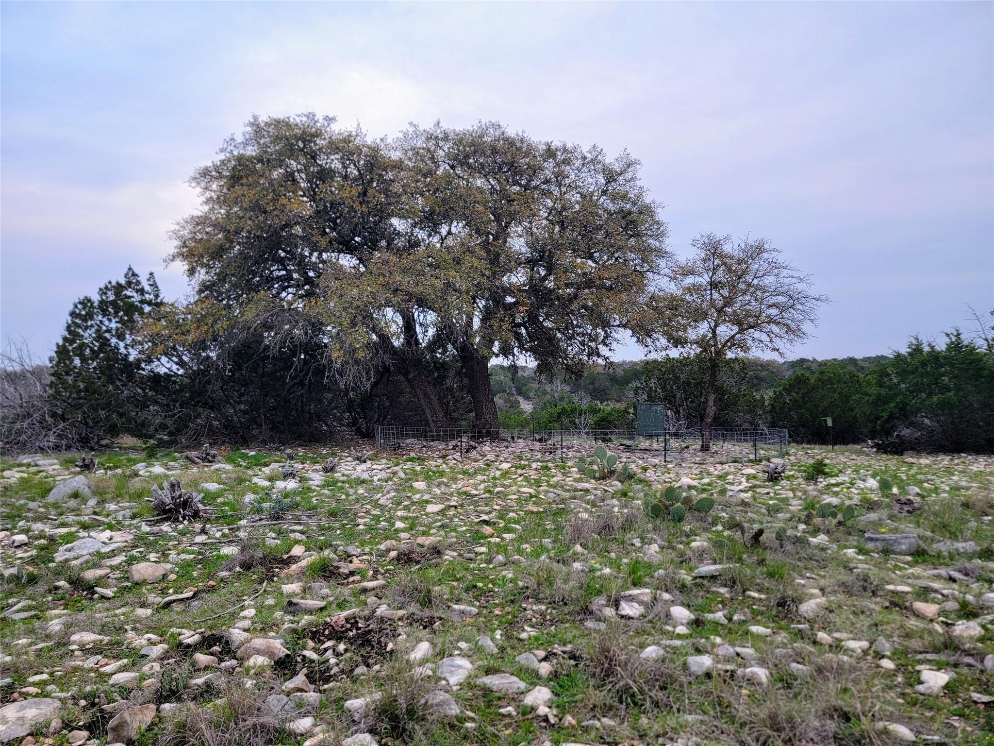 919 Sd Rocksprings TX 78880