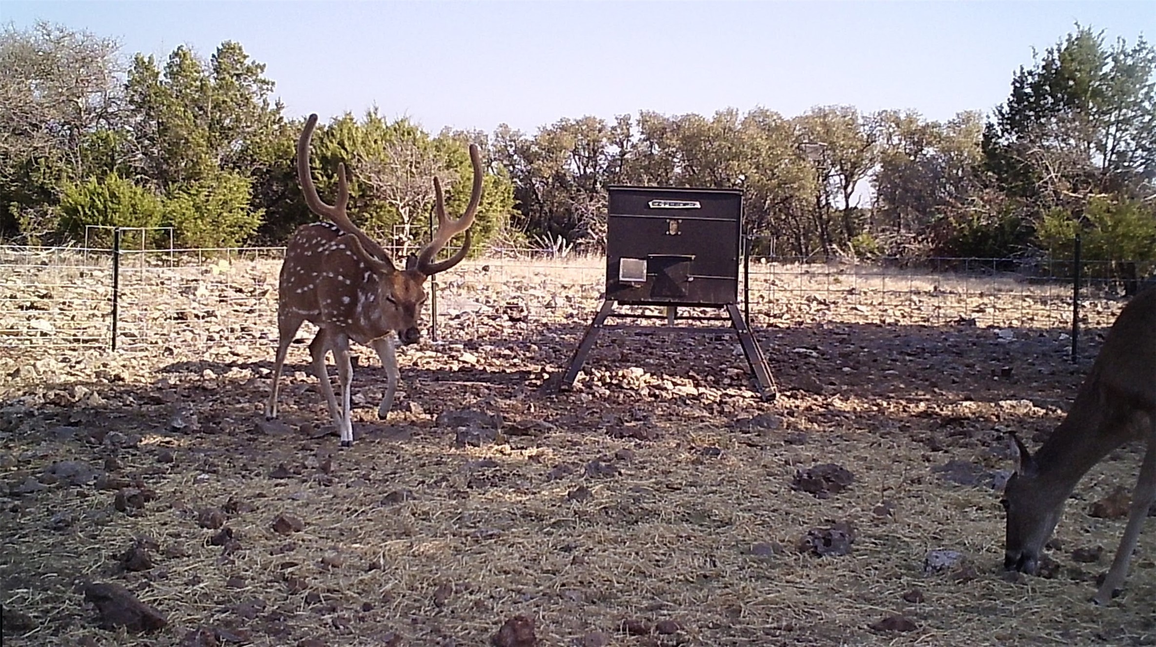 919 Sd Rocksprings TX 78880