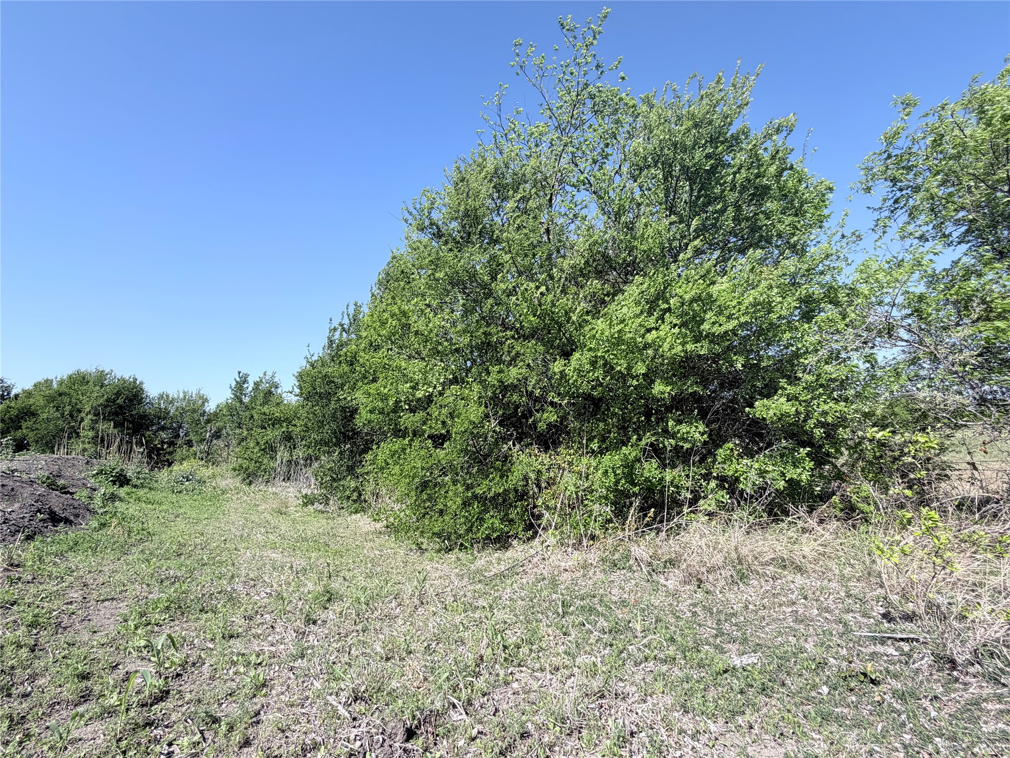 Tbd County Road 3204 Abbott TX 76621