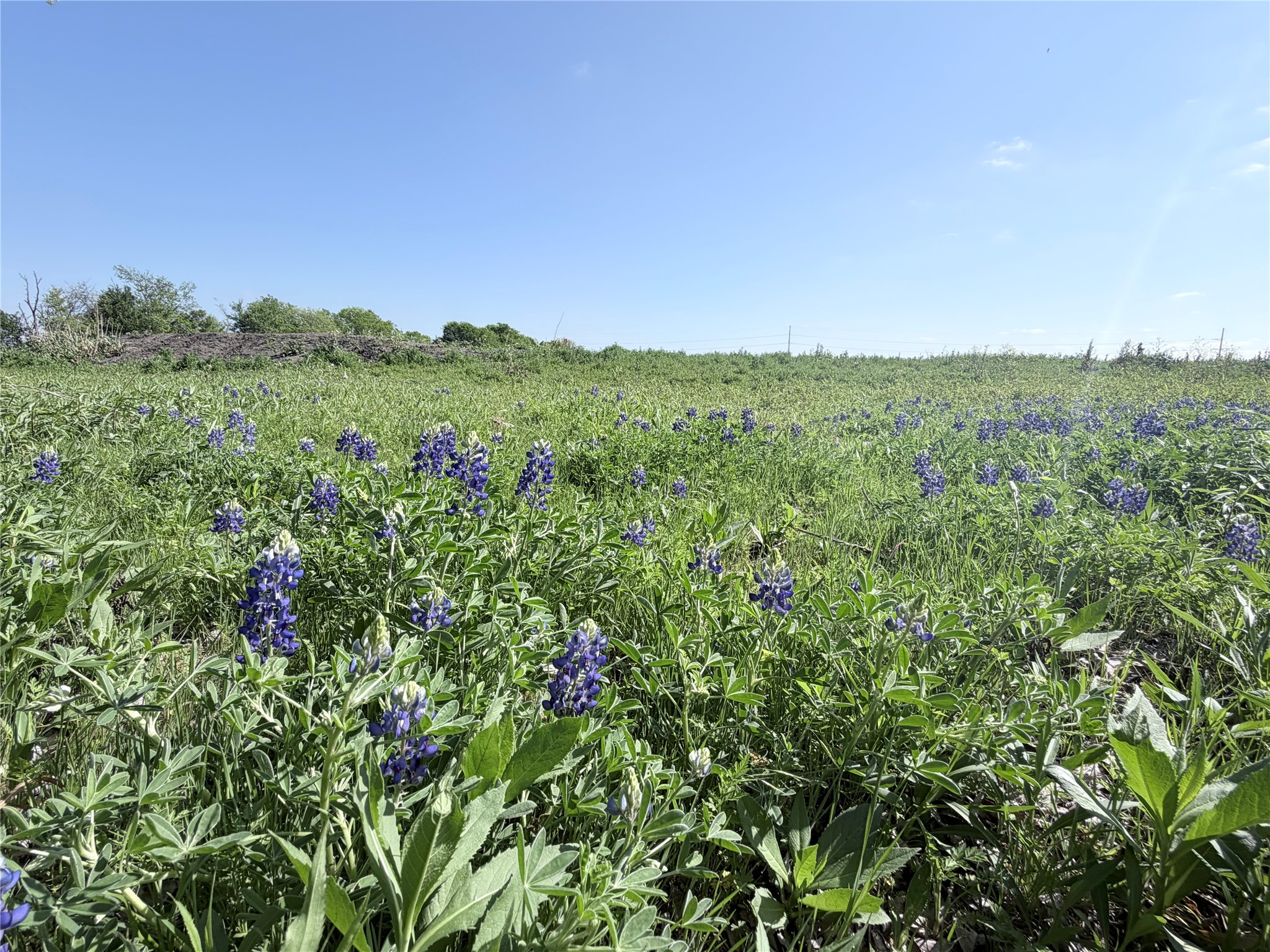 Tbd County Road 3204 Abbott TX 76621