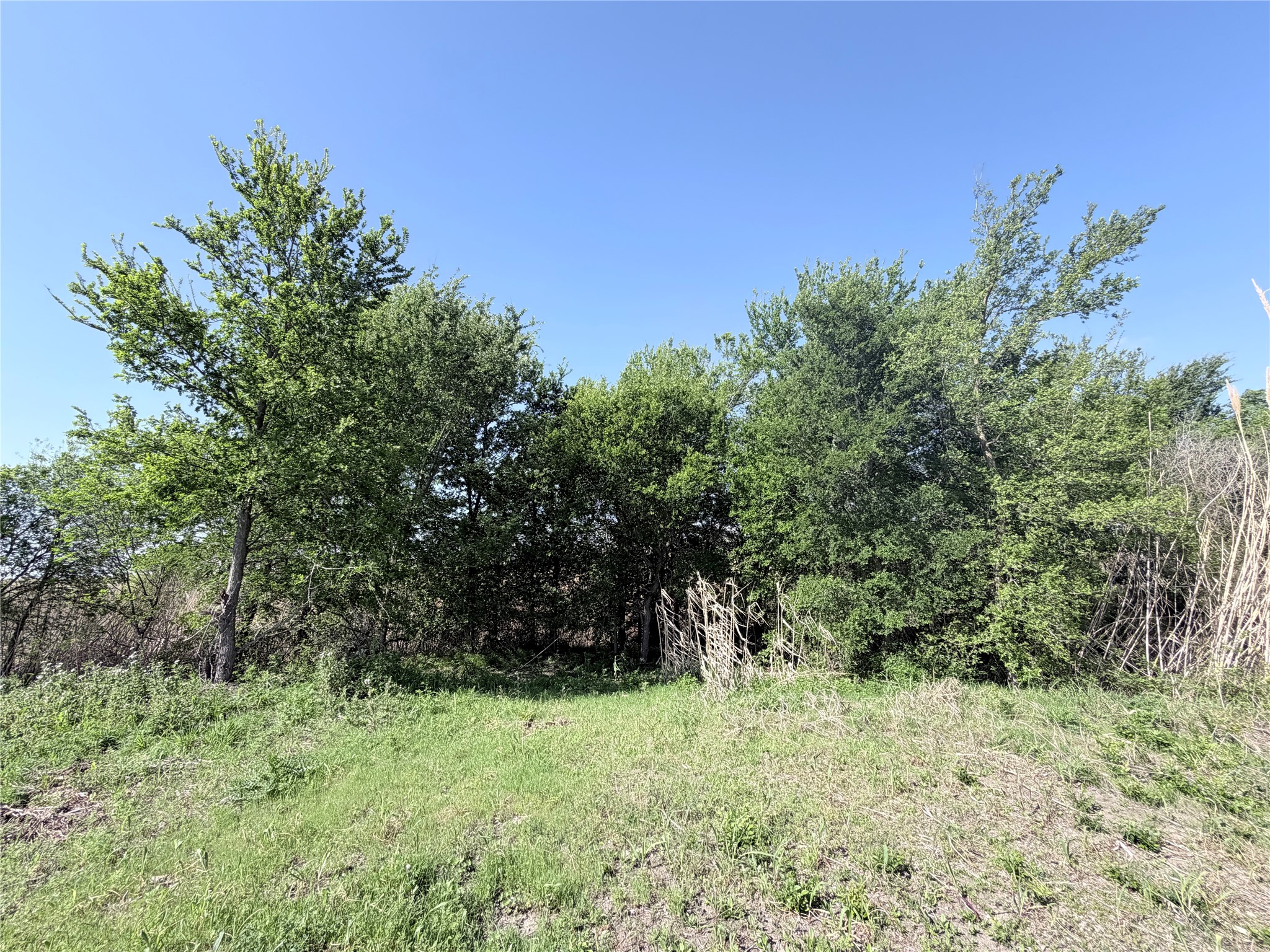 Tbd County Road 3204 Abbott TX 76621