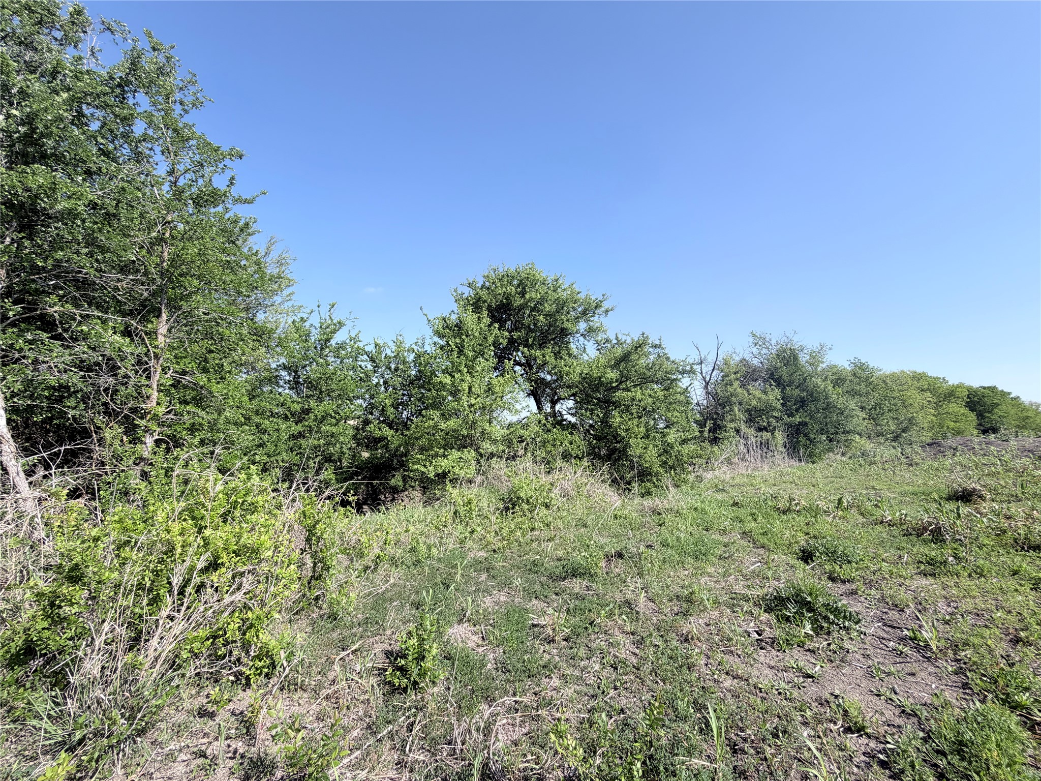 Tbd County Road 3204 Abbott TX 76621