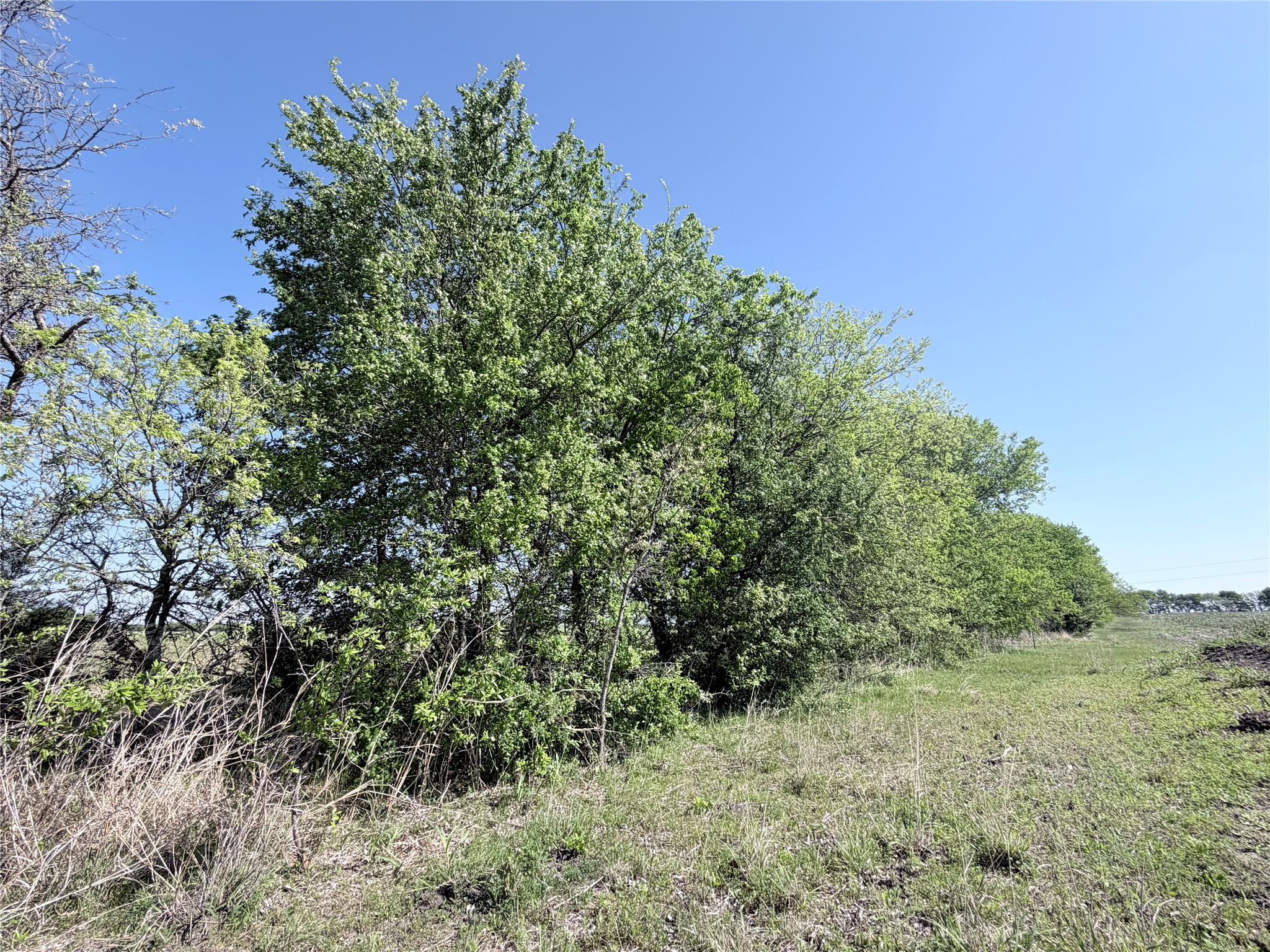 Tbd County Road 3204 Abbott TX 76621