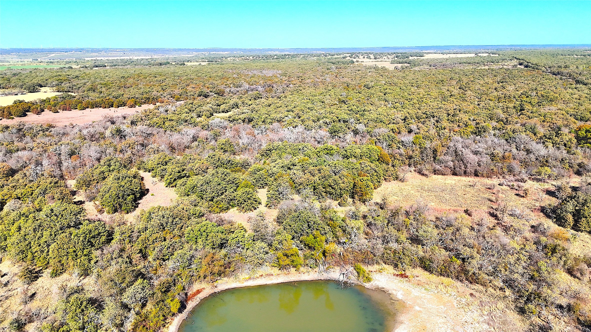 1849 Two Bush Road Perrin TX 76486