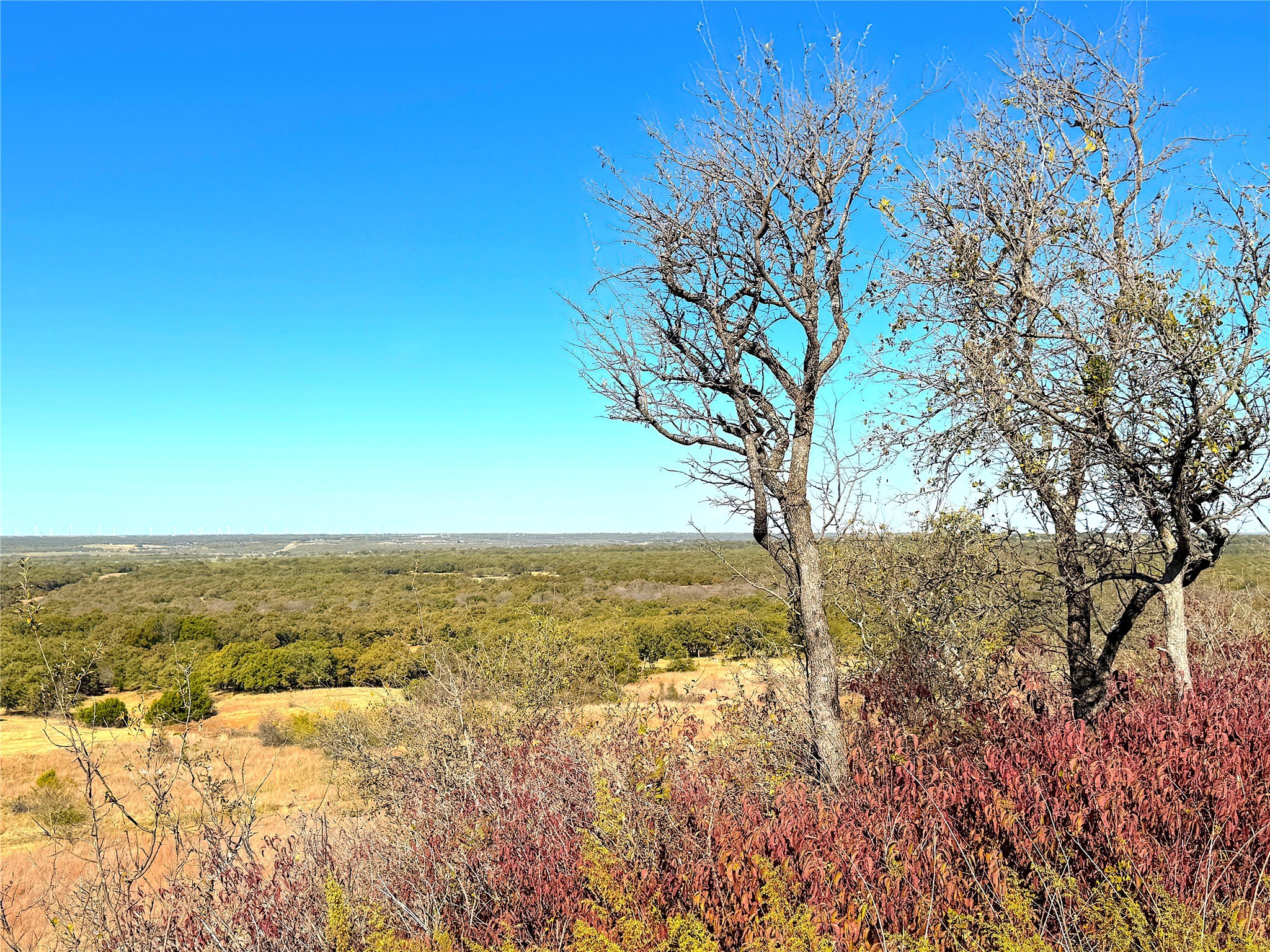 1849 Two Bush Road Perrin TX 76486