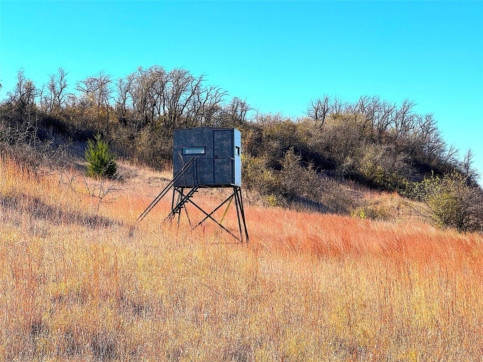 1849 Two Bush Road Perrin TX 76486