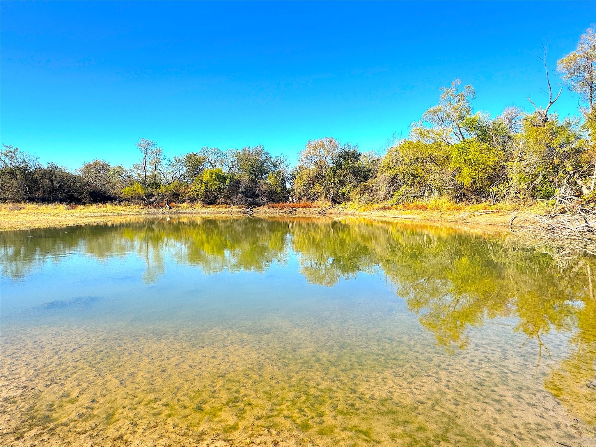1849 Two Bush Road Perrin TX 76486