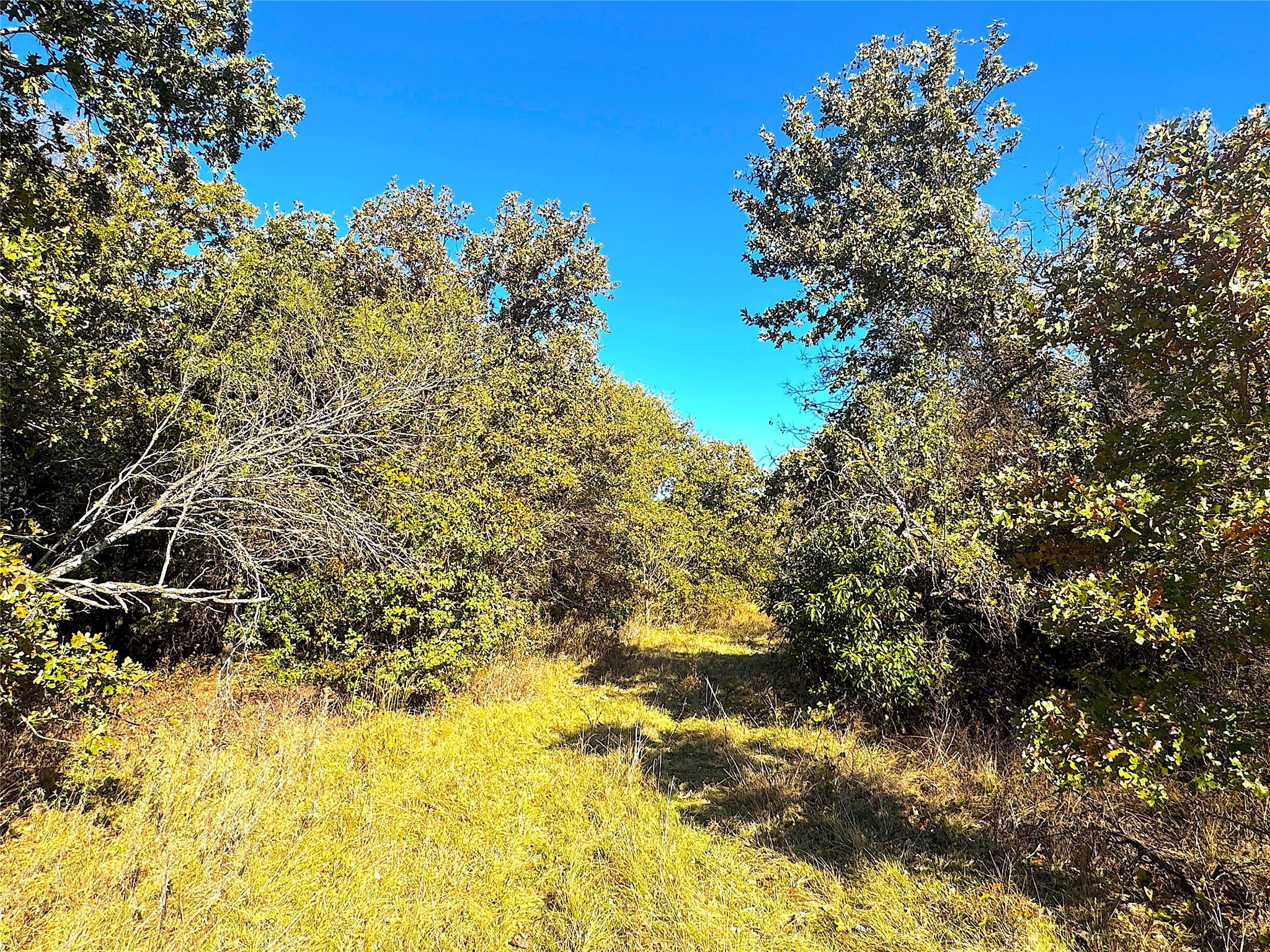 1849 Two Bush Road Perrin TX 76486