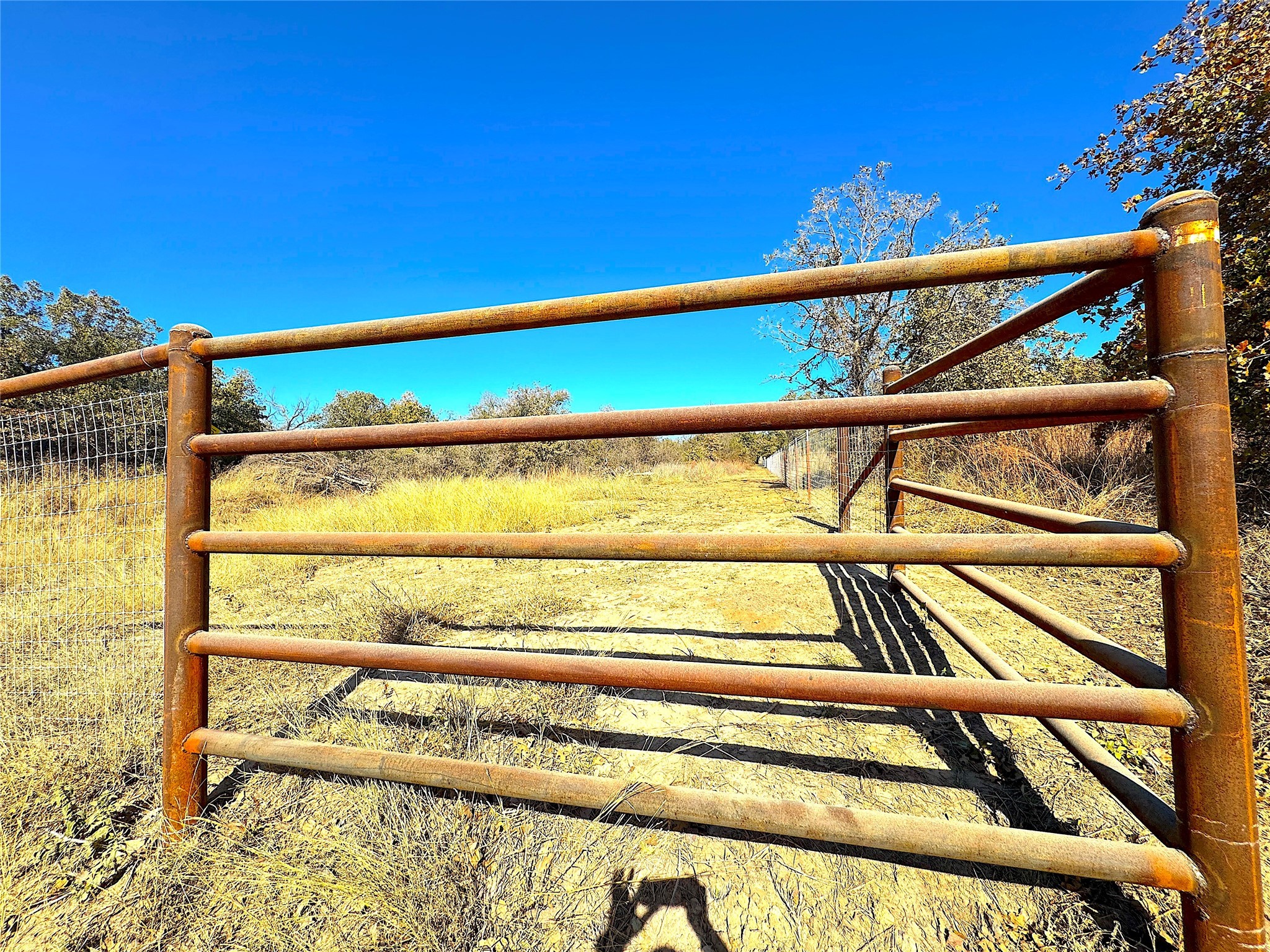1849 Two Bush Road Perrin TX 76486