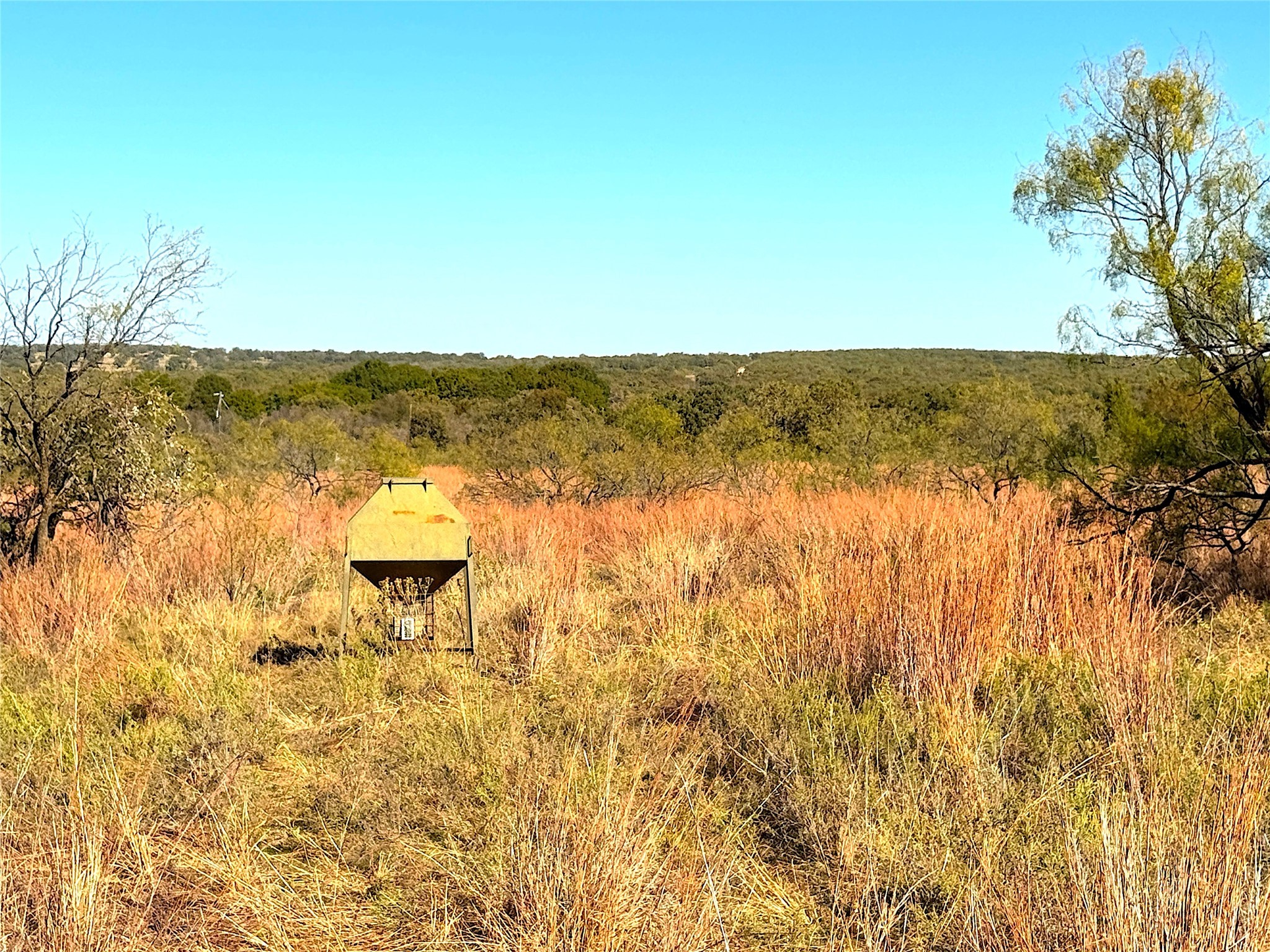 1849 Two Bush Road Perrin TX 76486