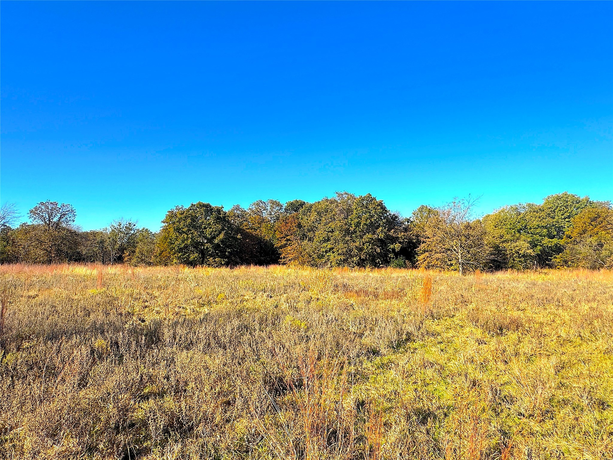 1849 Two Bush Road Perrin TX 76486