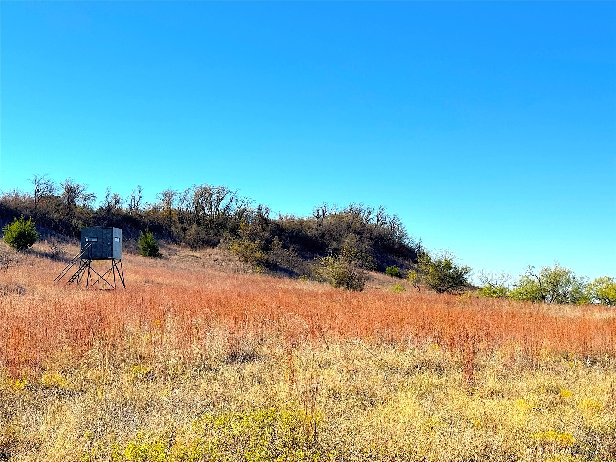 1849 Two Bush Road Perrin TX 76486
