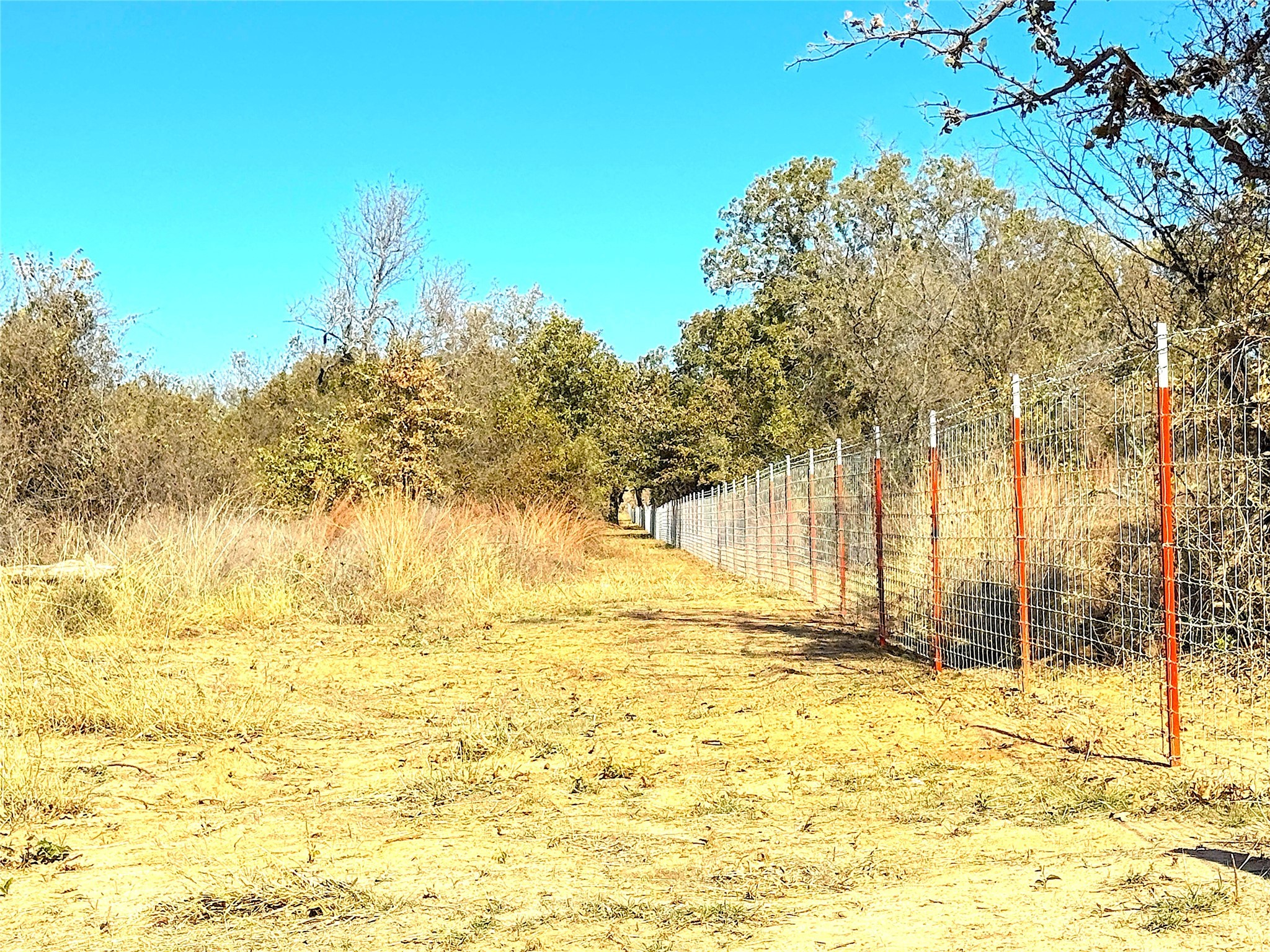 1849 Two Bush Road Perrin TX 76486