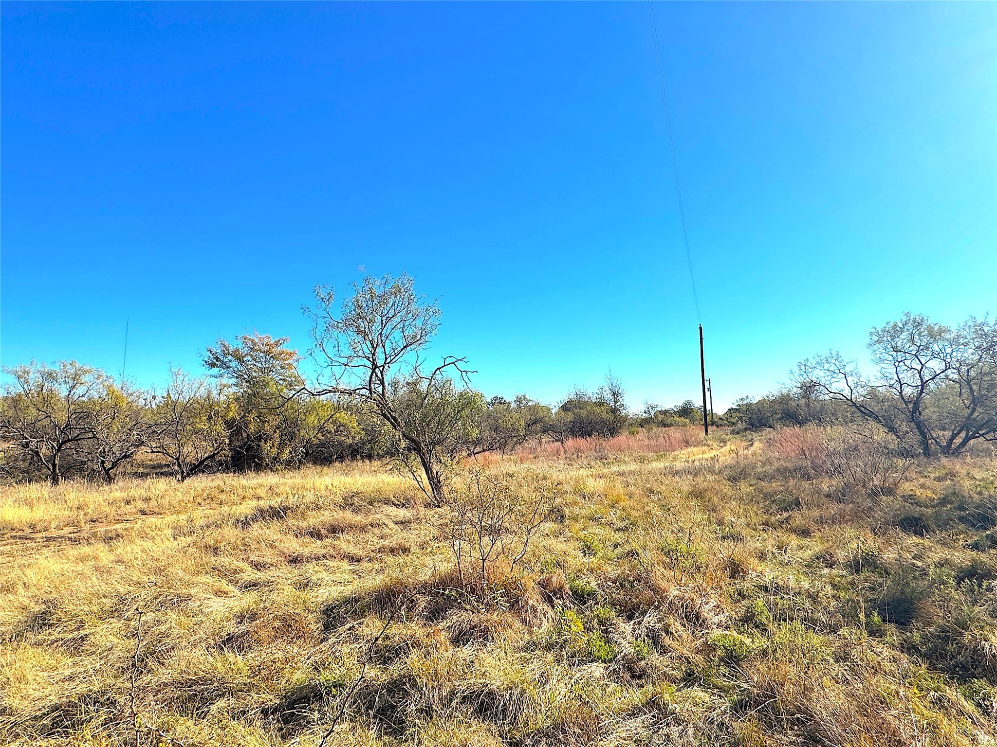 1849 Two Bush Road Perrin TX 76486