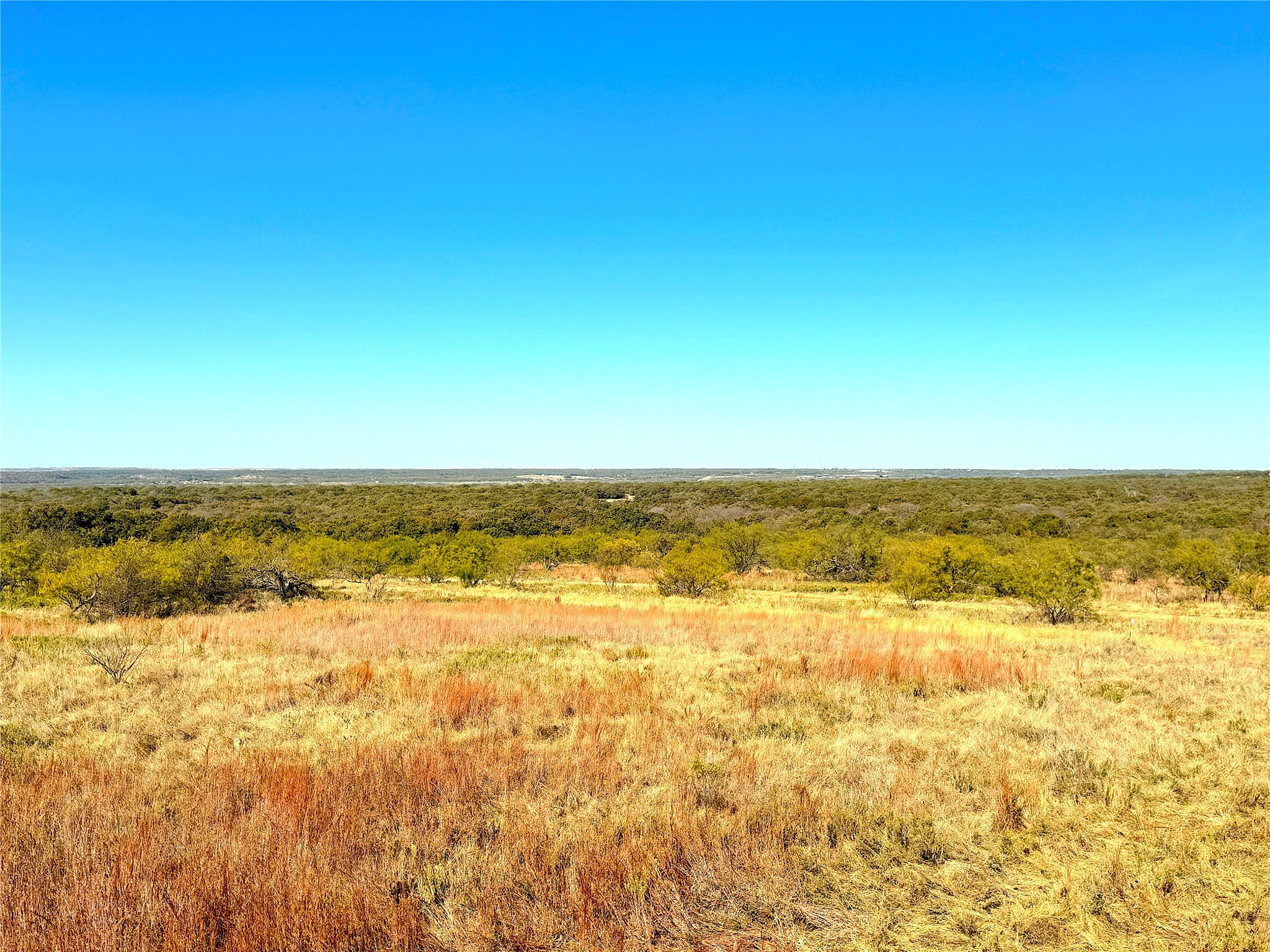 1849 Two Bush Road Perrin TX 76486