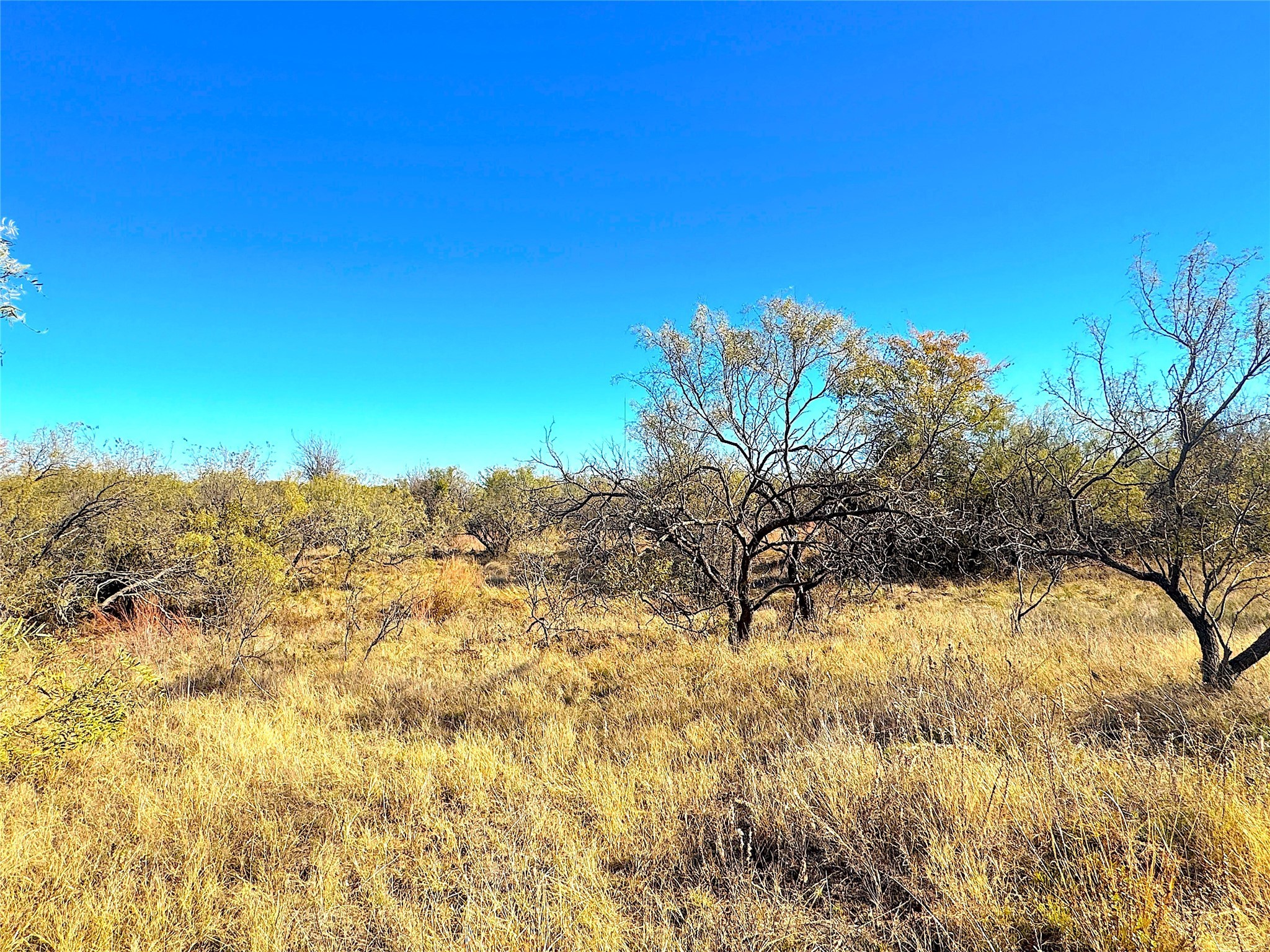 1849 Two Bush Road Perrin TX 76486