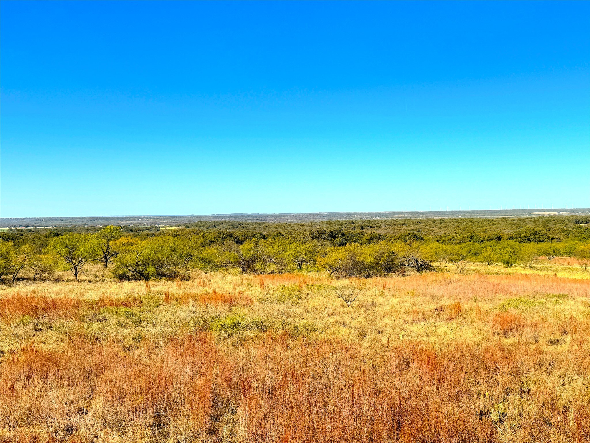 1849 Two Bush Road Perrin TX 76486