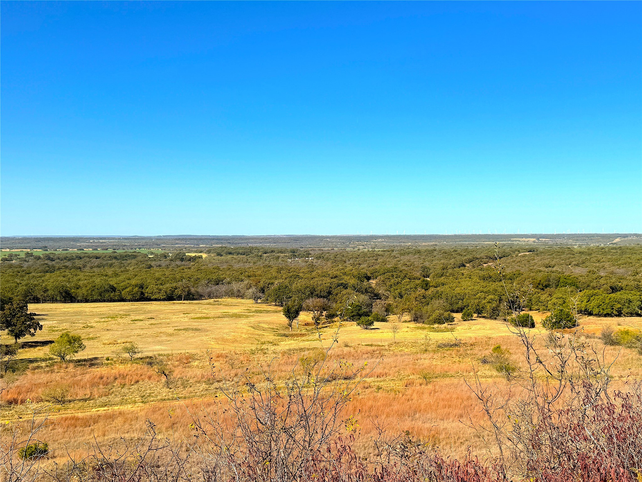 1849 Two Bush Road Perrin TX 76486
