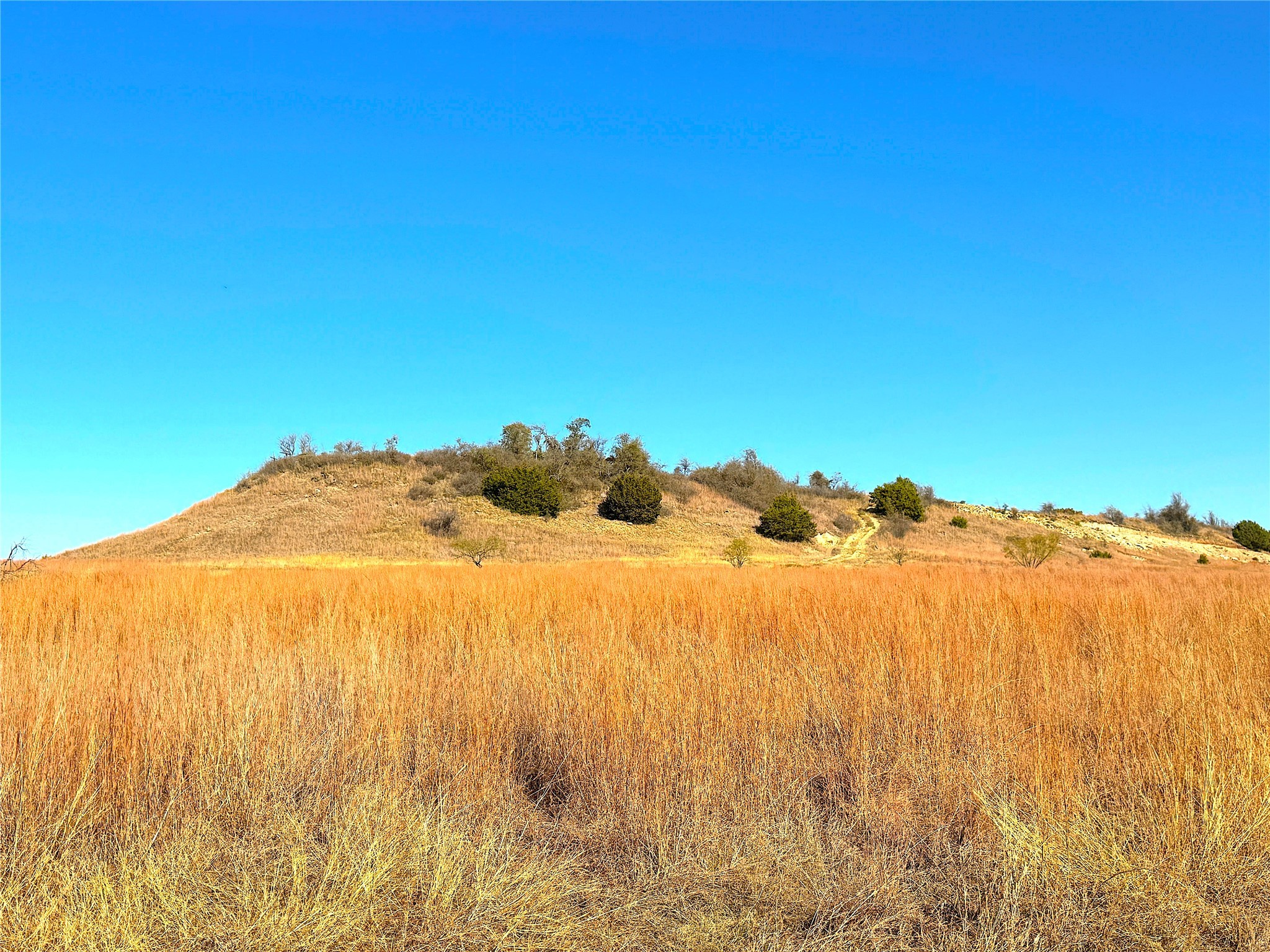 1849 Two Bush Road Perrin TX 76486
