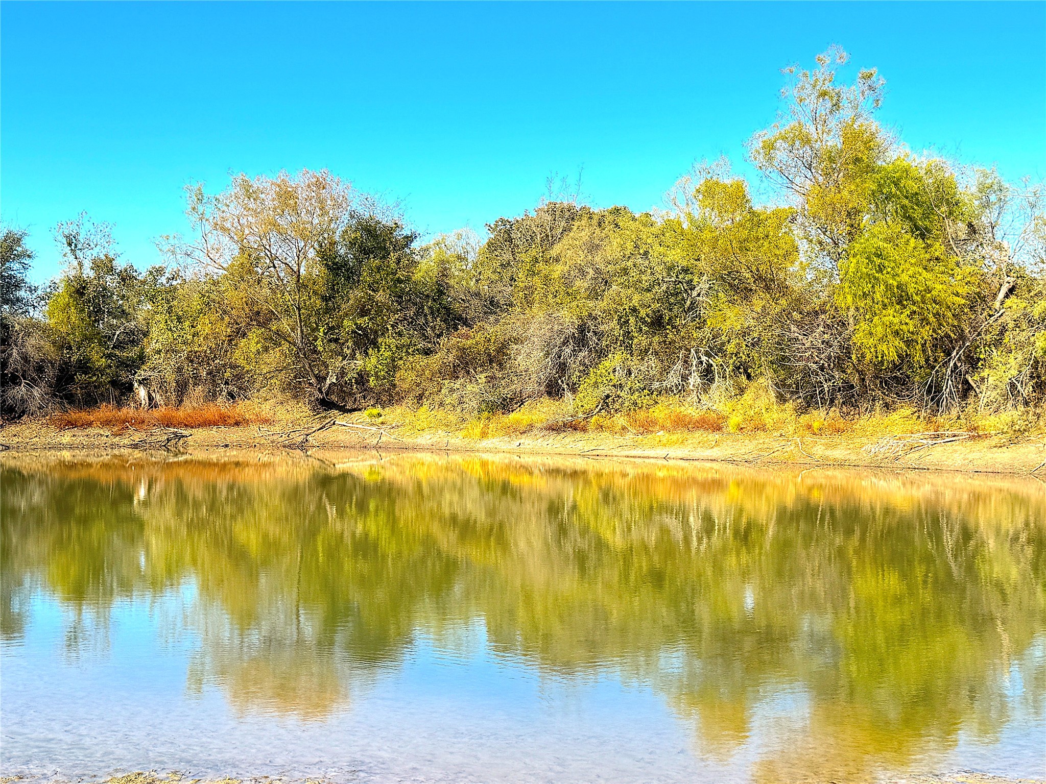 1849 Two Bush Road Perrin TX 76486