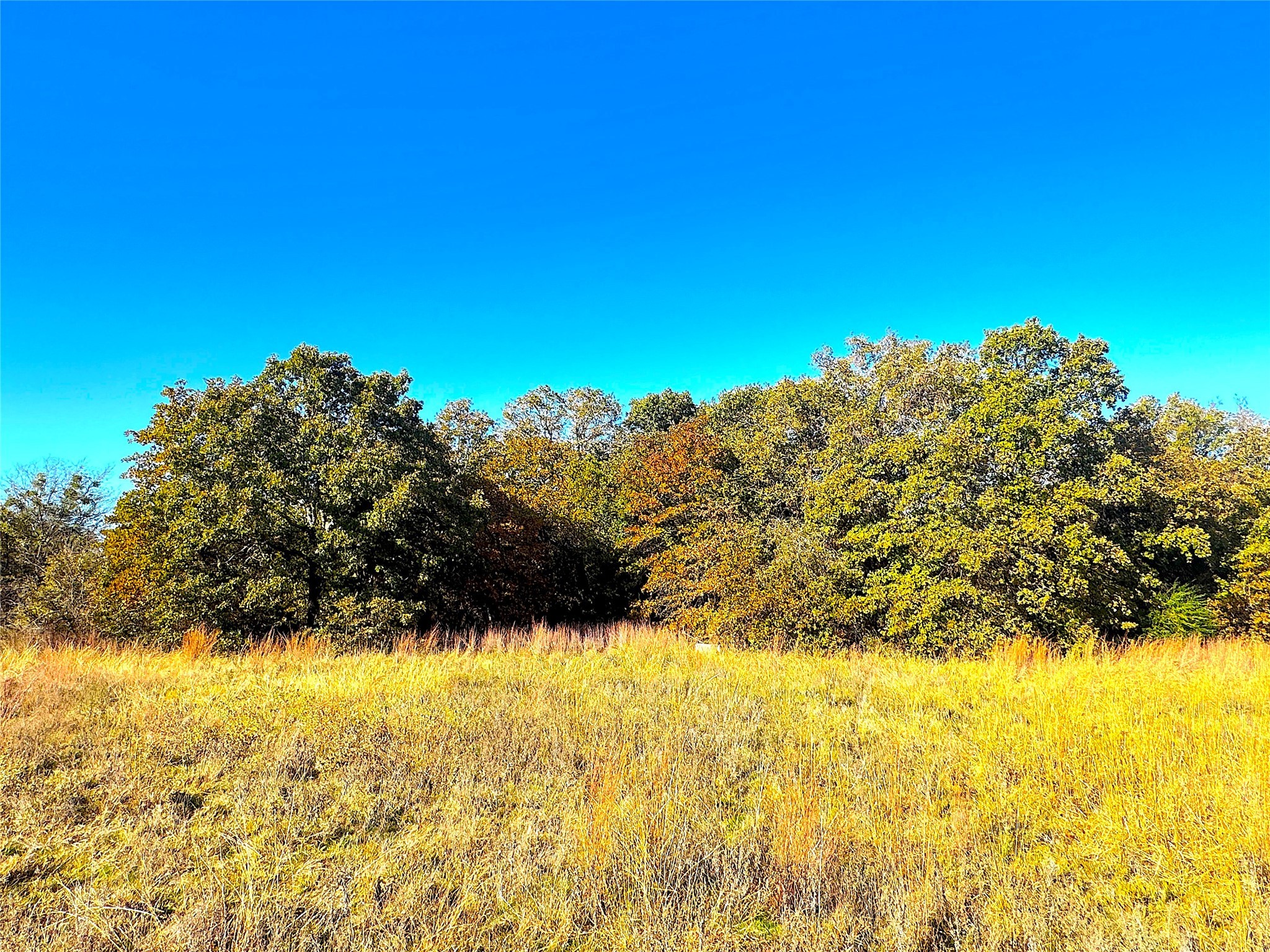 1849 Two Bush Road Perrin TX 76486