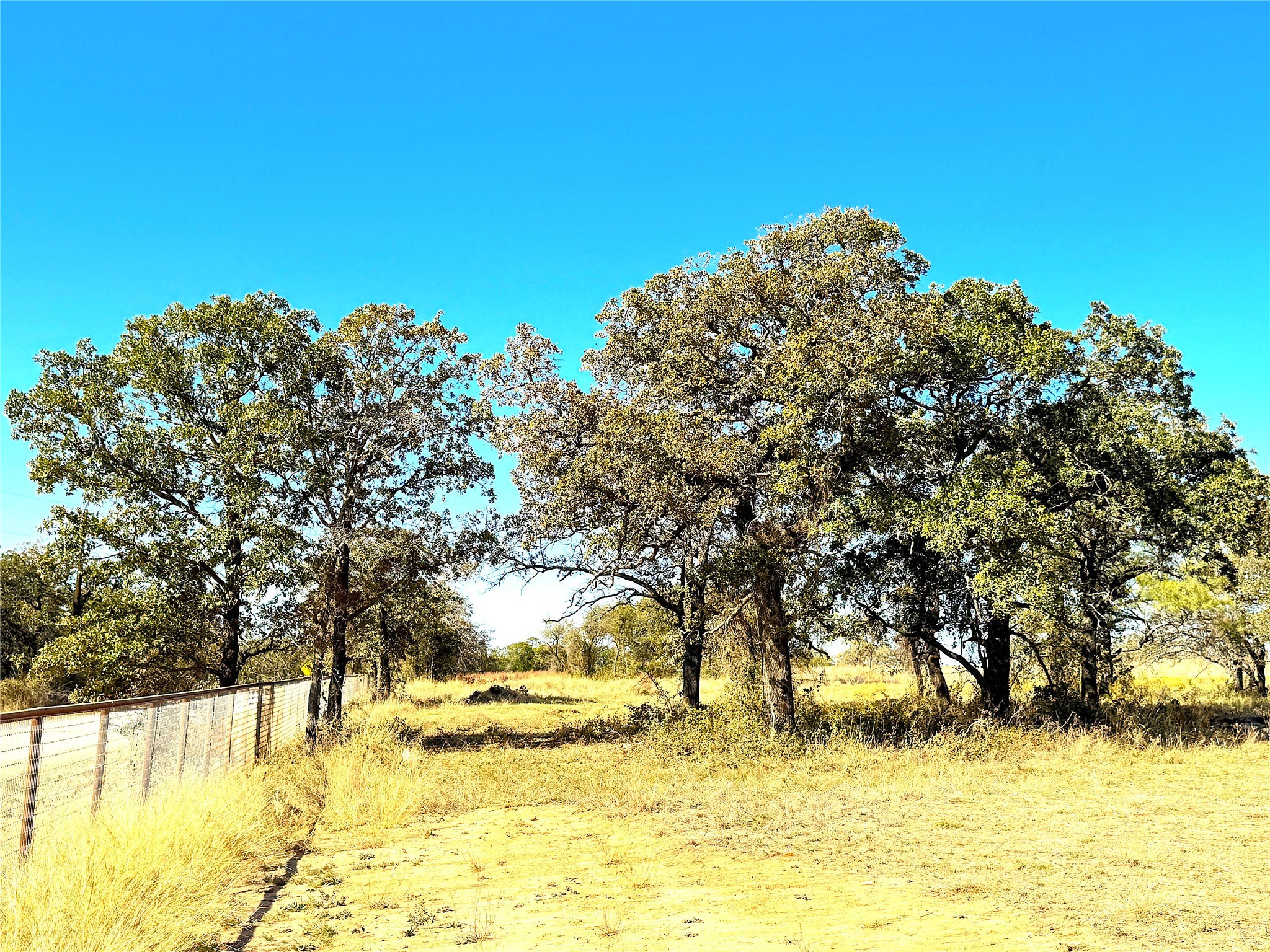 1849 Two Bush Road Perrin TX 76486