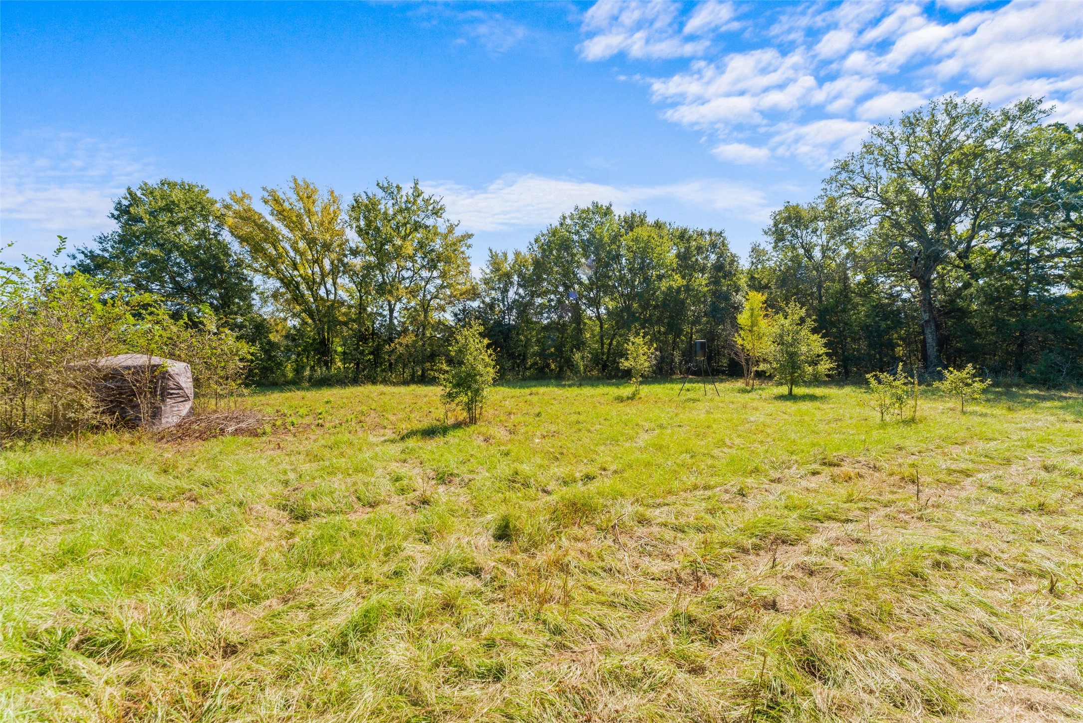 11691 Betty Lane Kaufman TX 75142