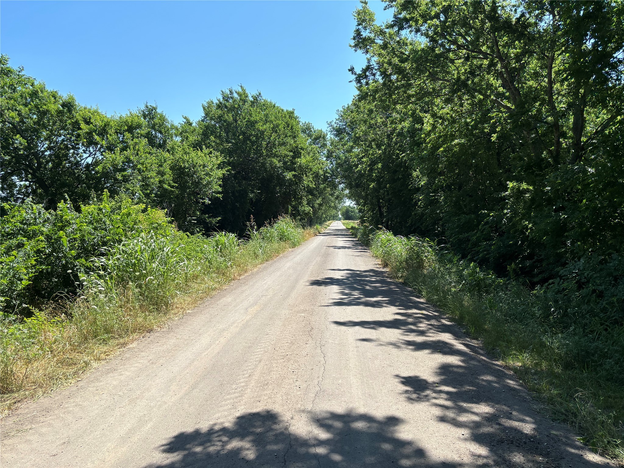 2516 County Road 1017 Wolfe City TX 75423