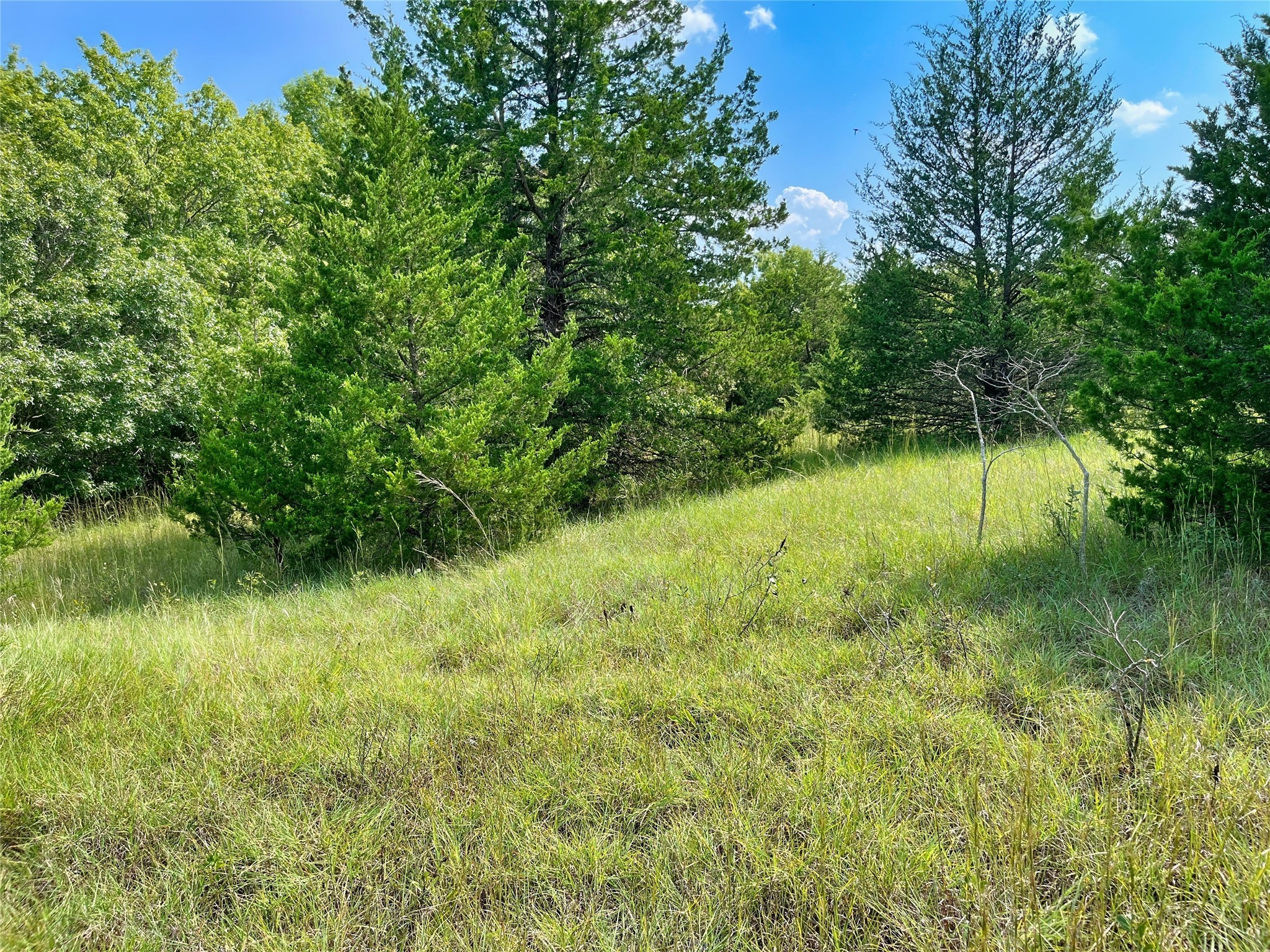 1408 Wortham Road Whitewright TX 75491