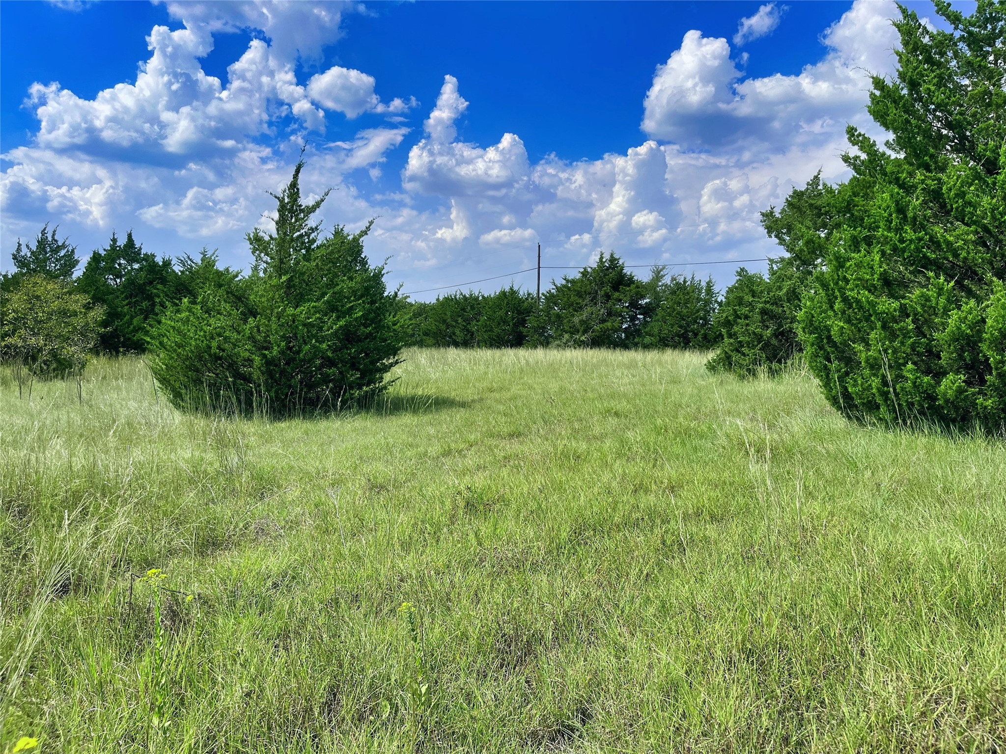 1408 Wortham Road Whitewright TX 75491