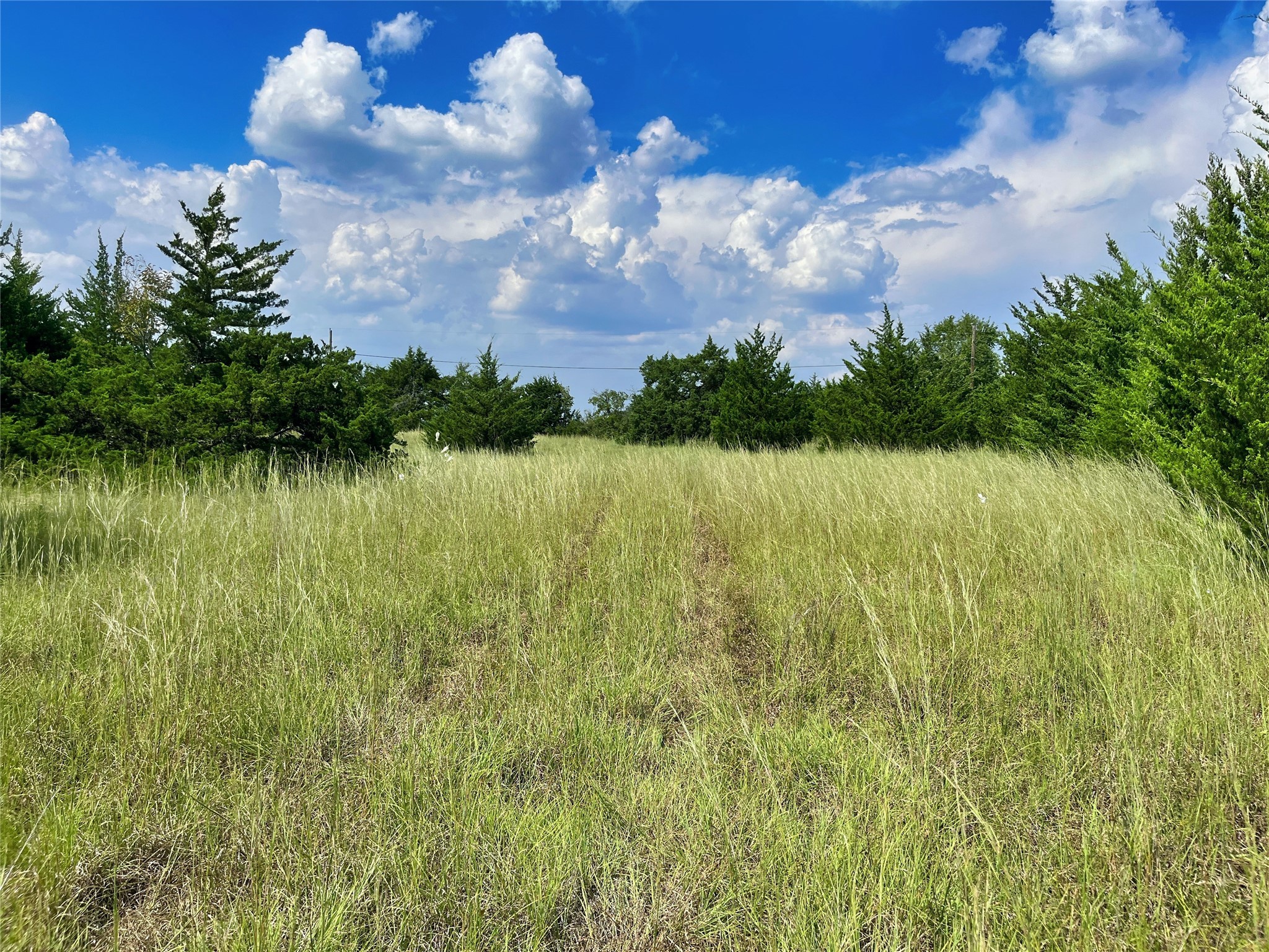 1408 Wortham Road Whitewright TX 75491